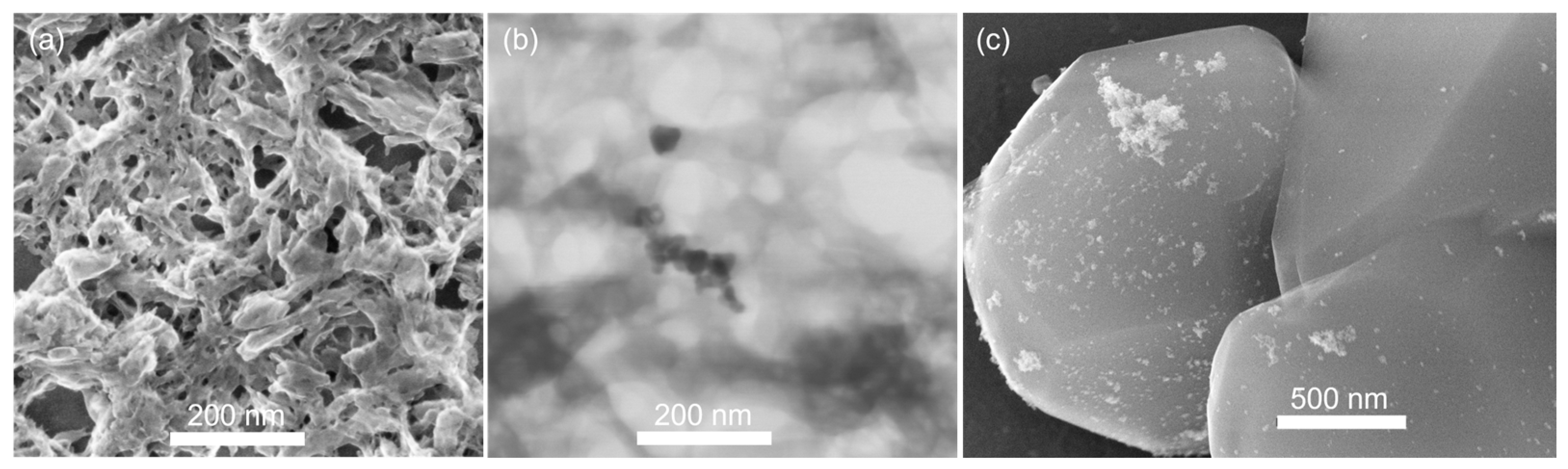 Molecules 30 00656 g010