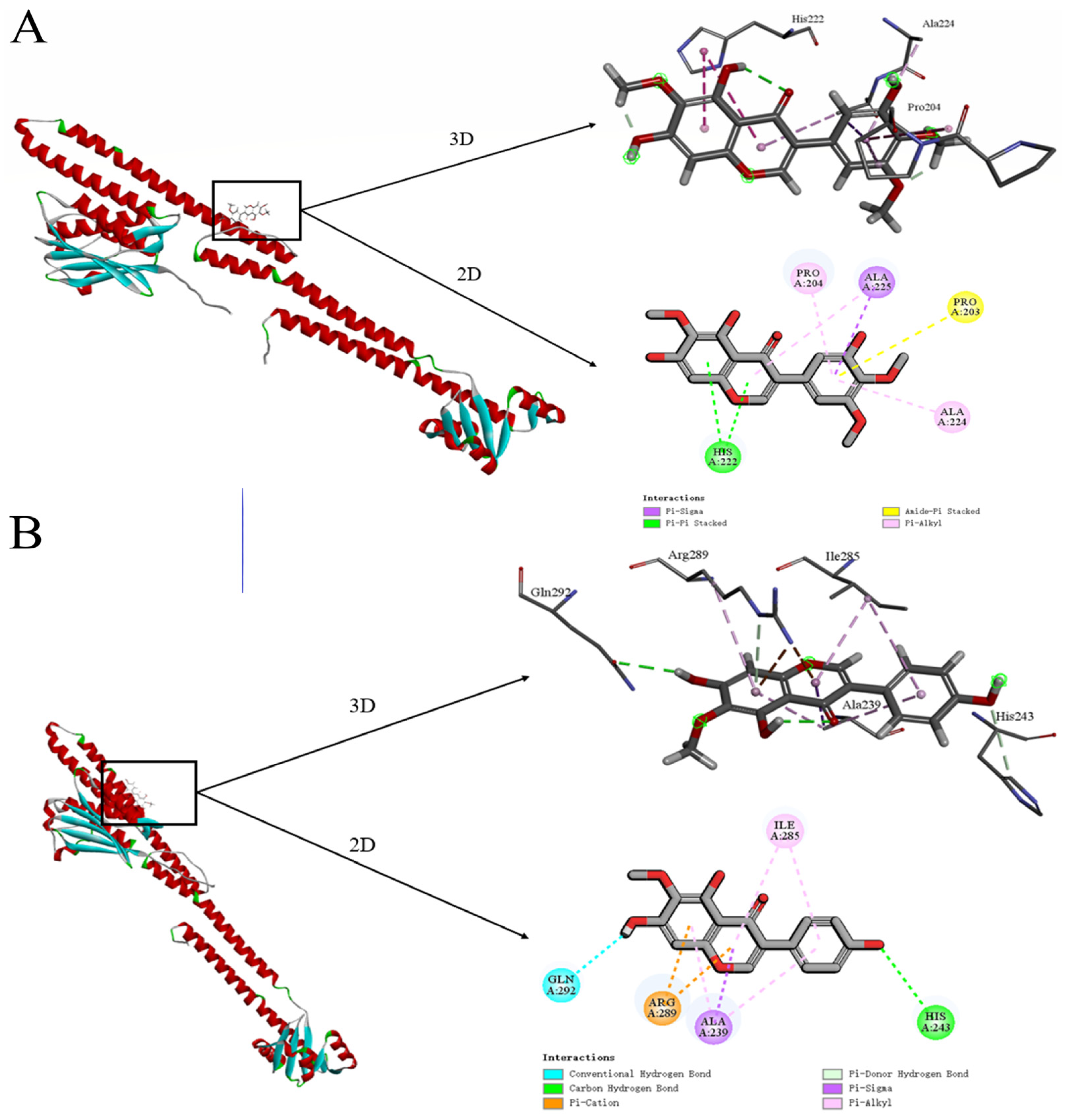 Molecules 30 00663 g005