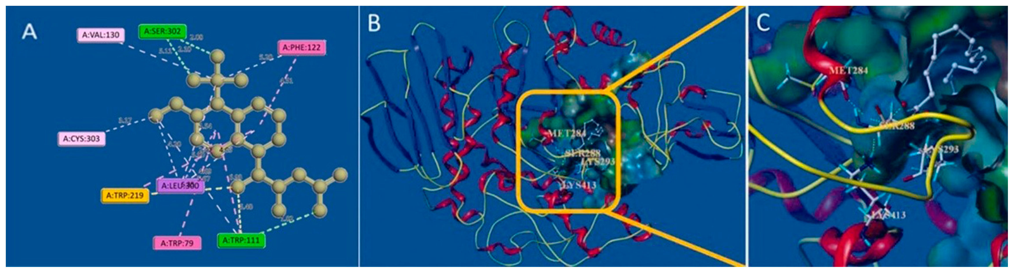 Molecules 30 00665 g003 Molecules 30 00665 g003