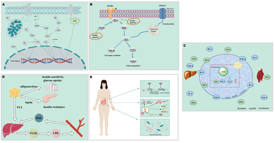 Insights into the Sources, Structure, and Action Mechanisms of Quinones on  Diabetes: A Review