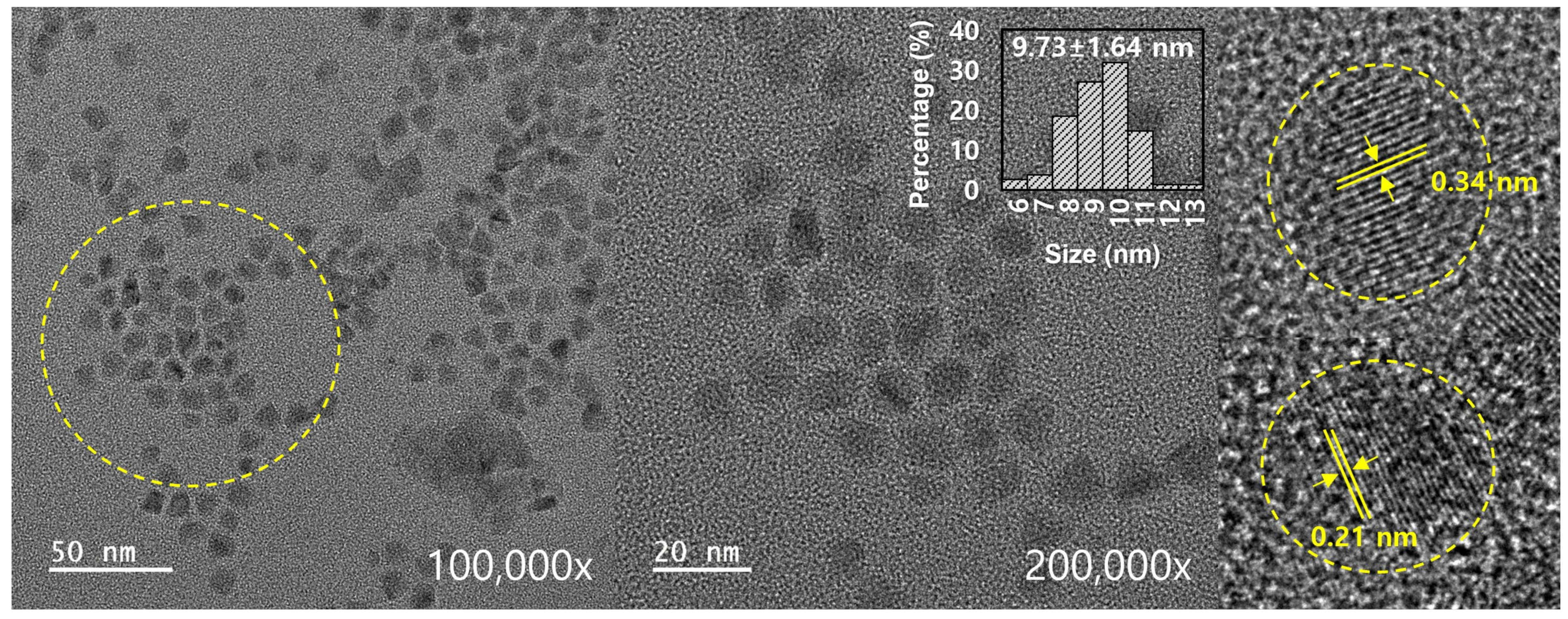 Molecules 30 00667 g003