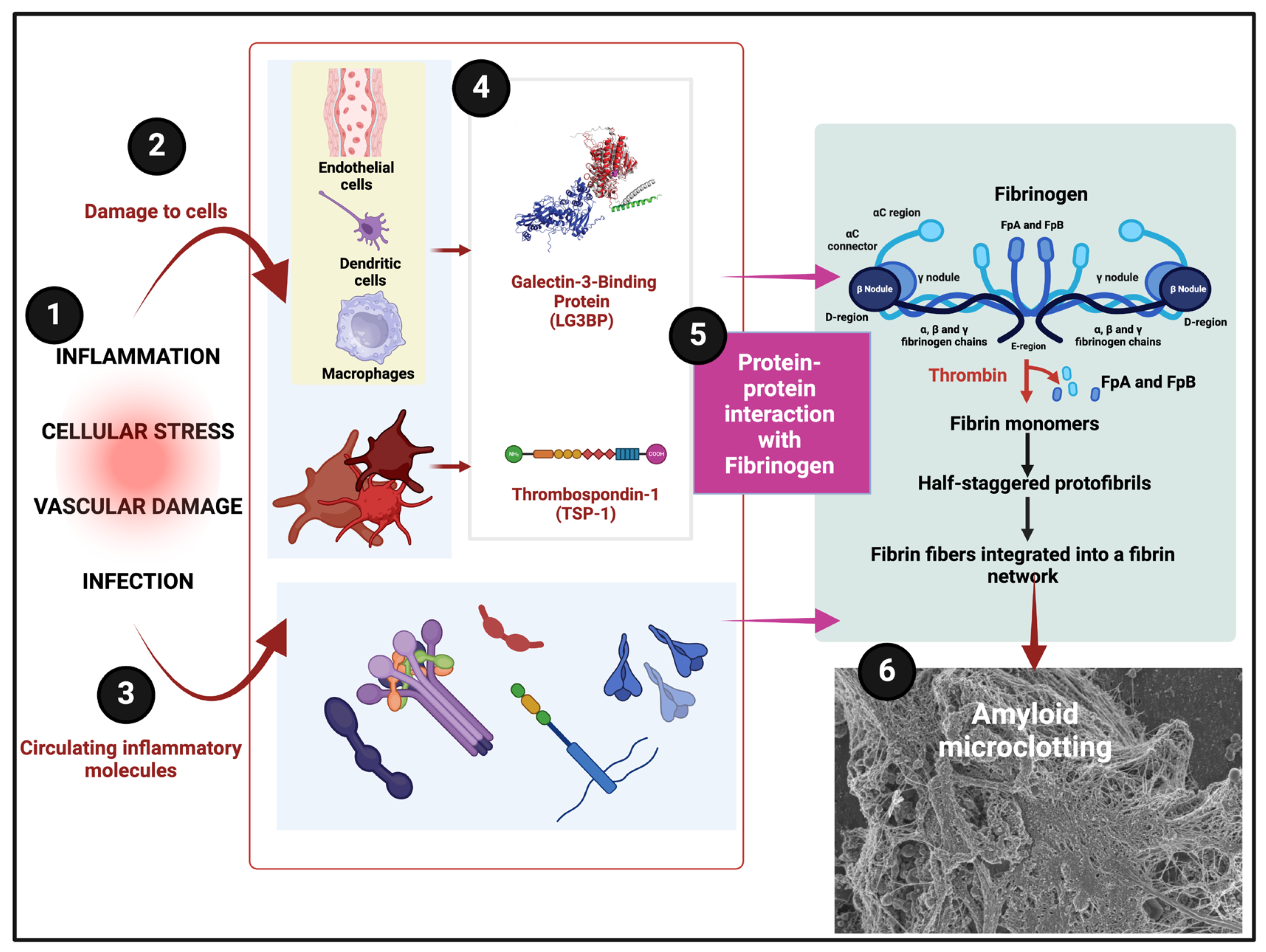 Molecules 30 00668 g004