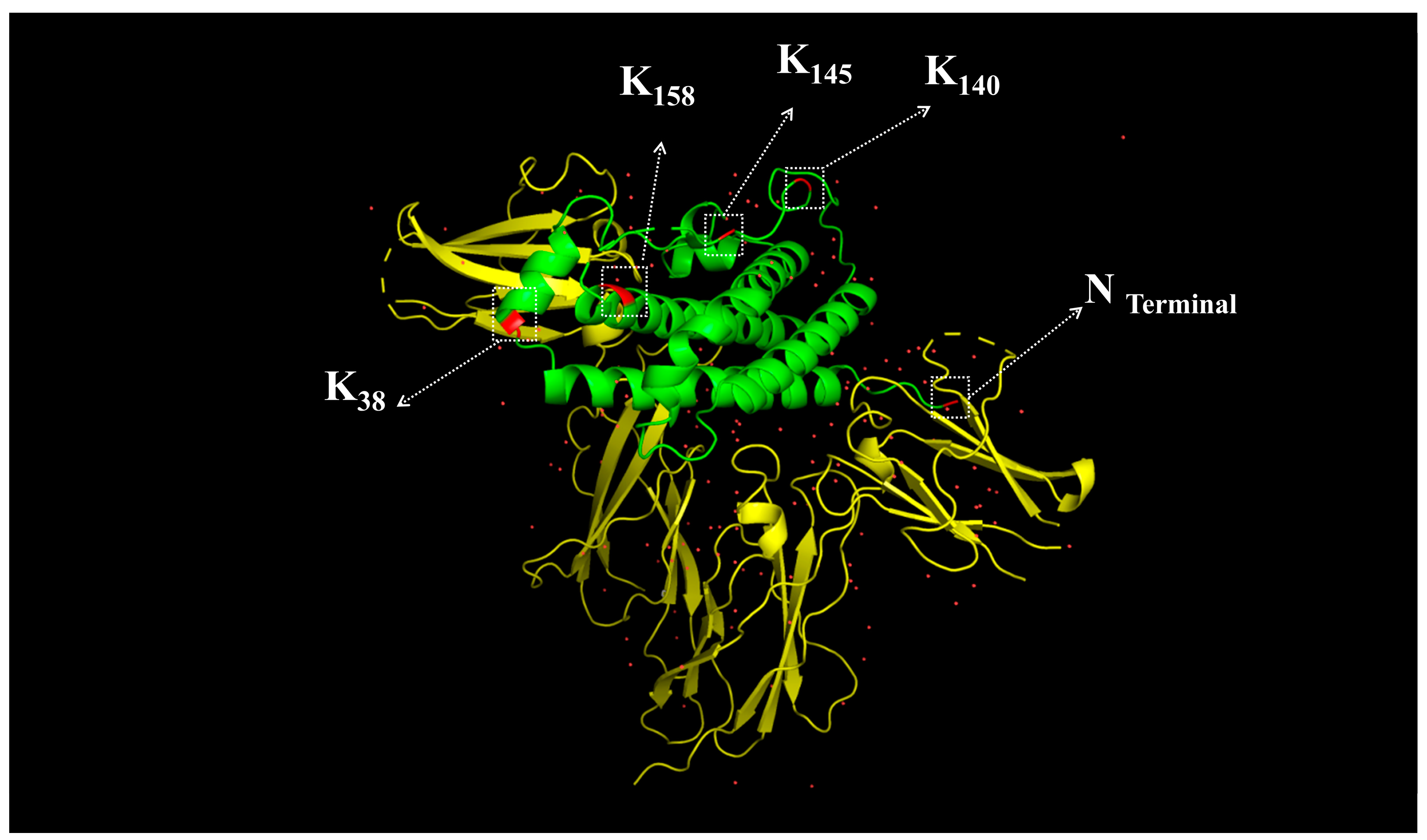 Molecules 30 00669 g009 Molecules 30 00669 g009