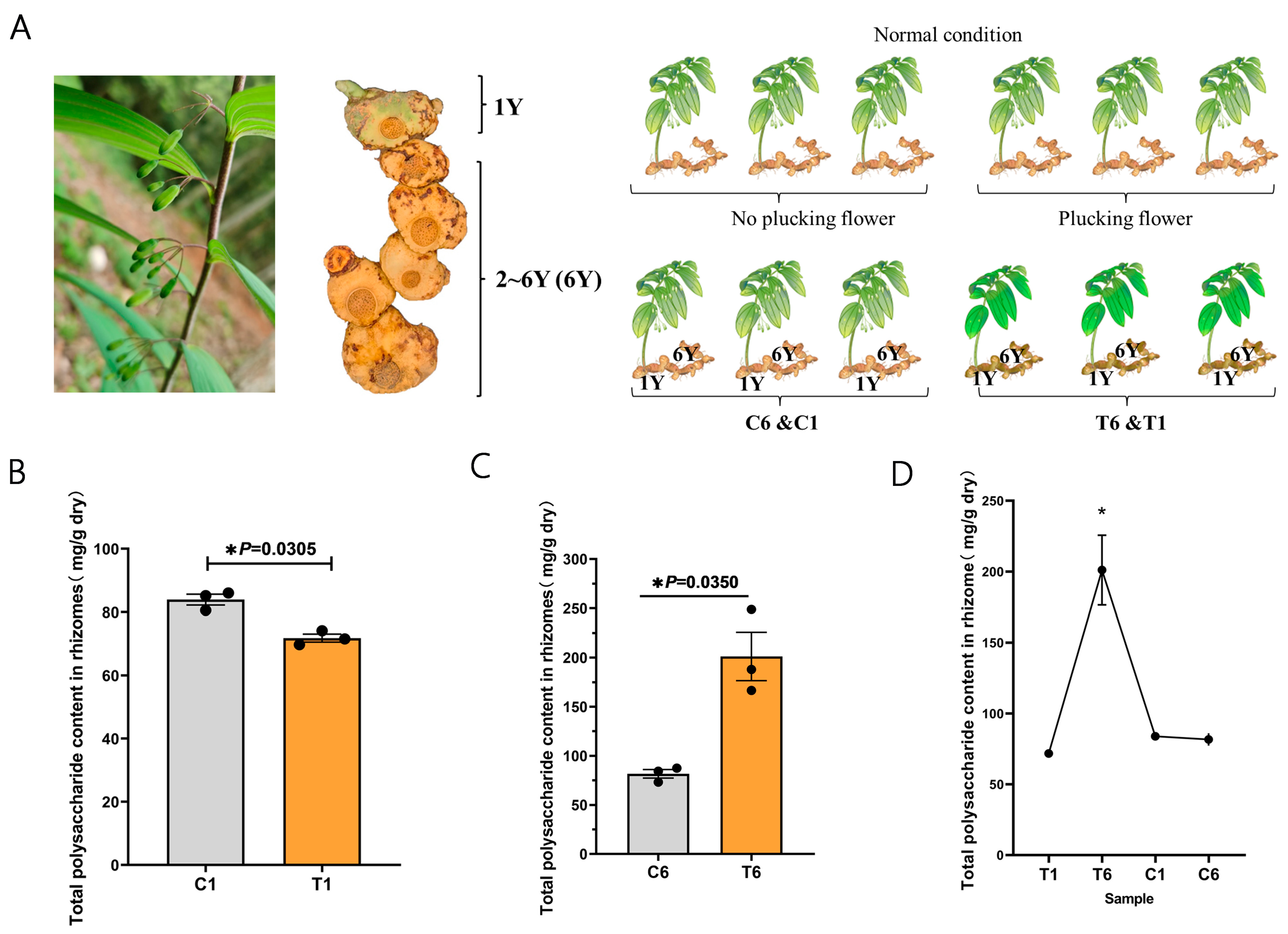 Molecules 30 00670 g001