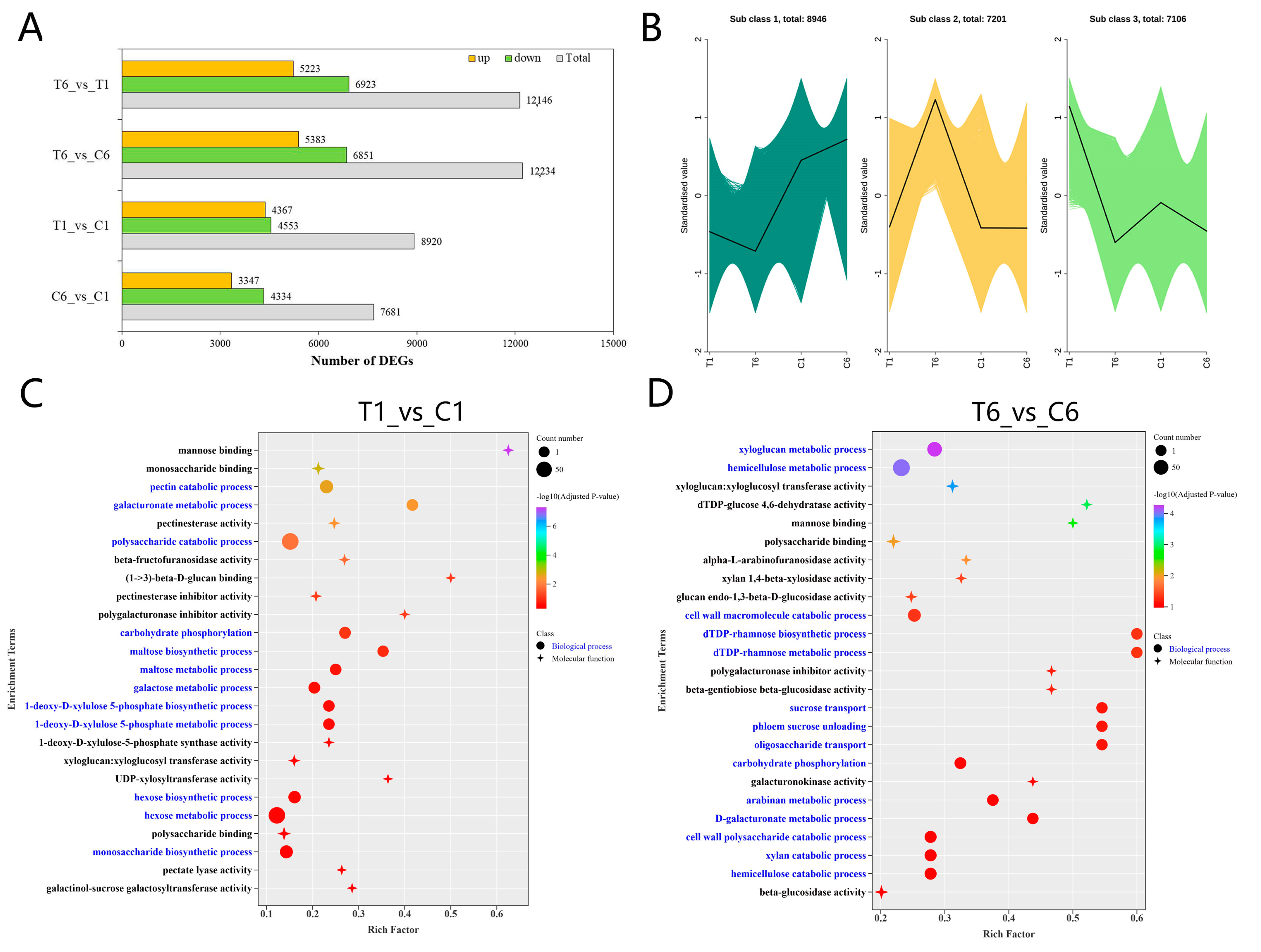 Molecules 30 00670 g004