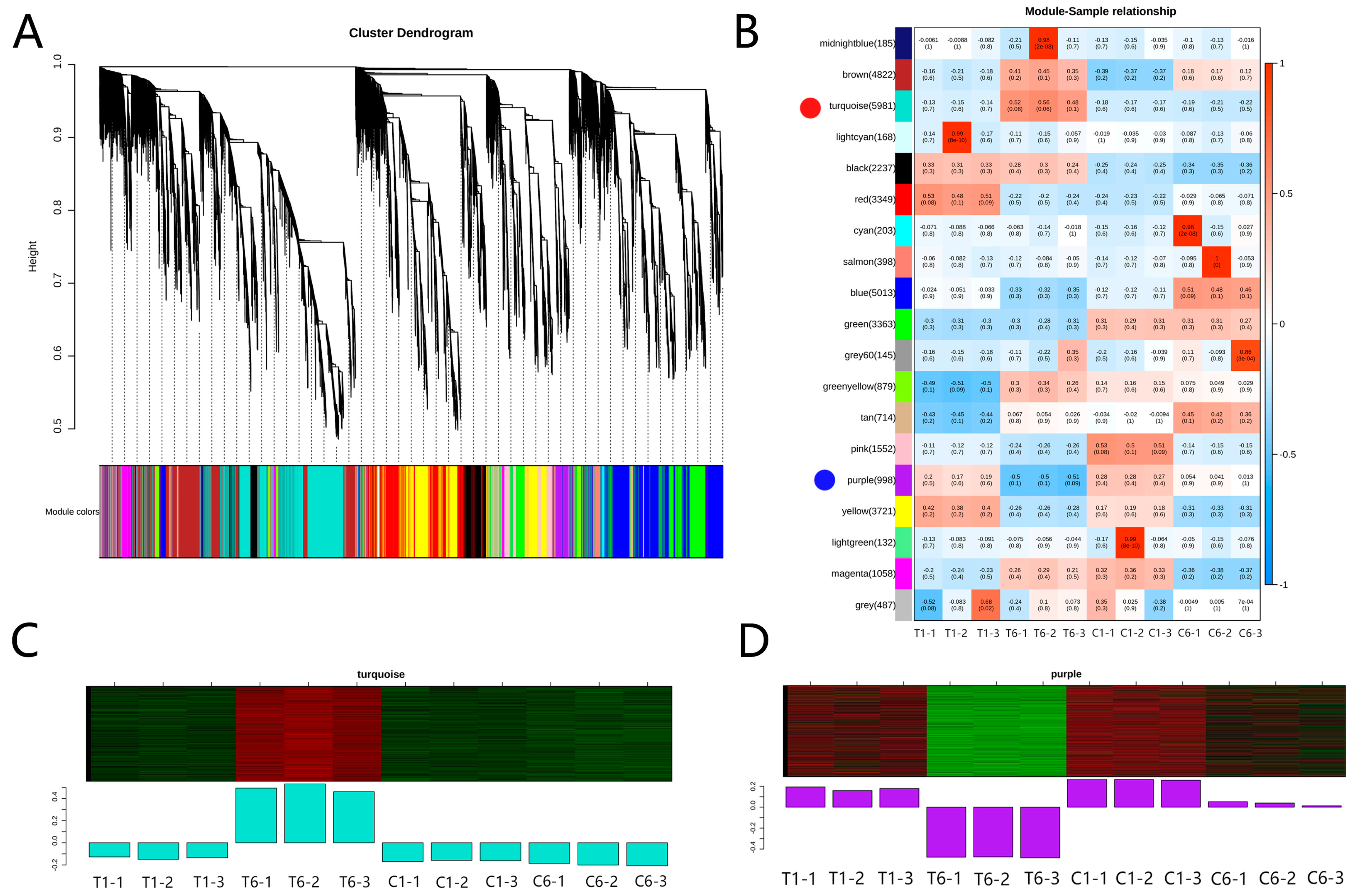 Molecules 30 00670 g005