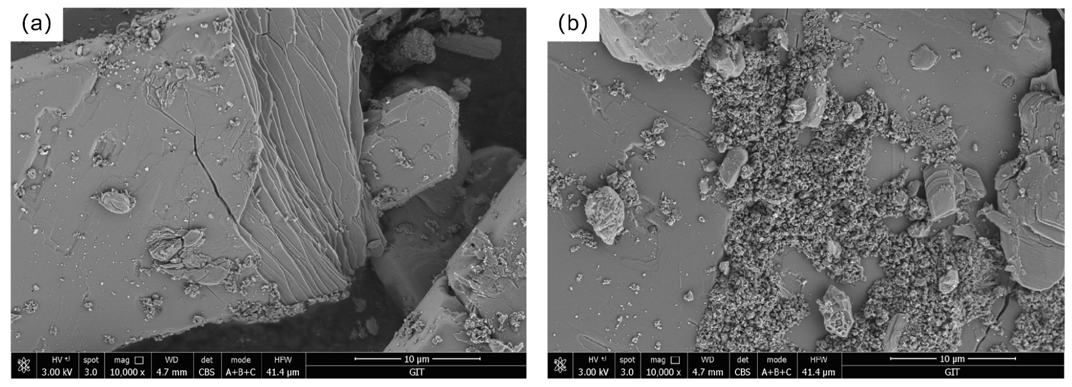 Molecules 30 00674 g001