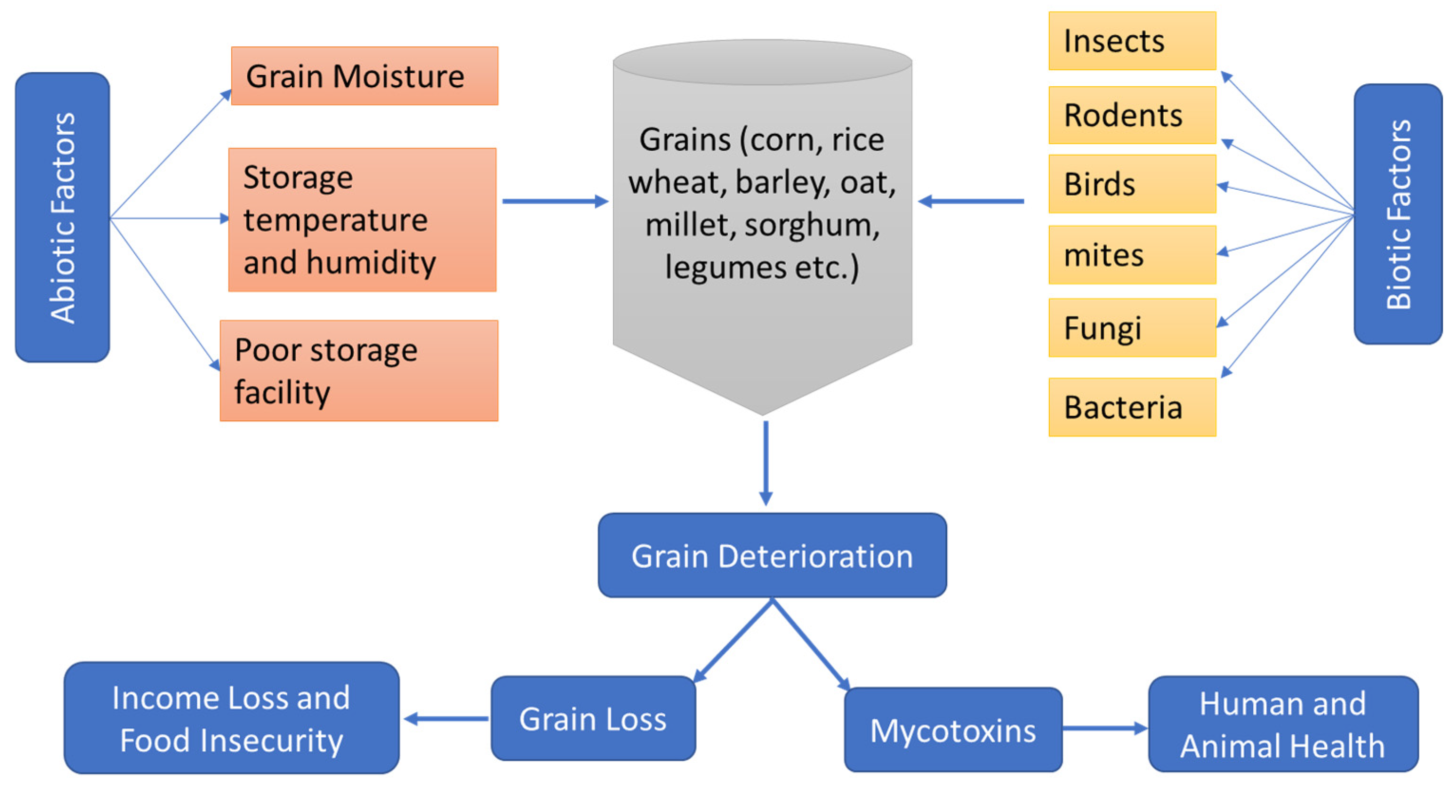 Molecules 30 00683 g001 Molecules 30 00683 g001