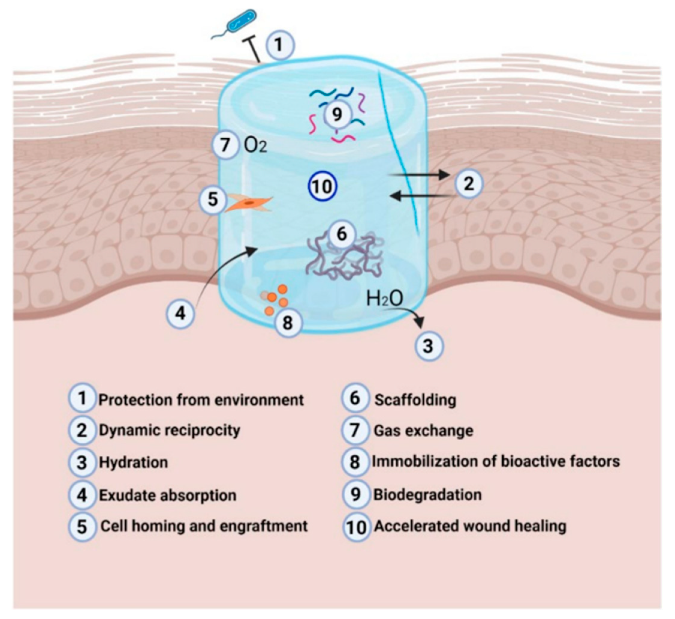 Molecules 30 00686 g003
