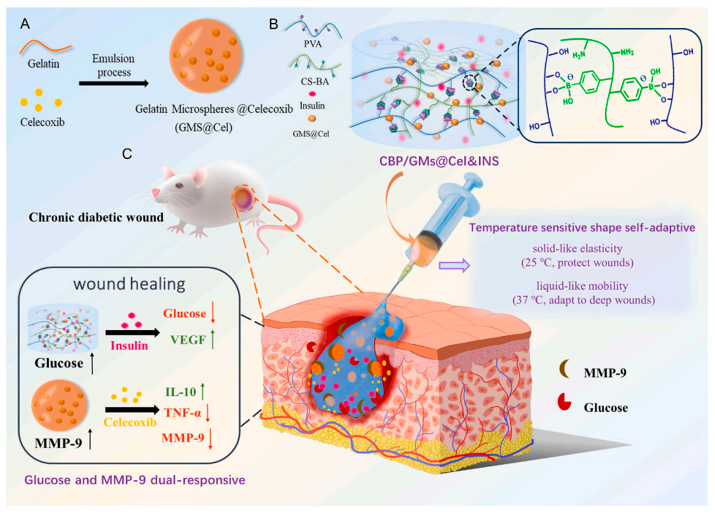 Molecules 30 00686 g006