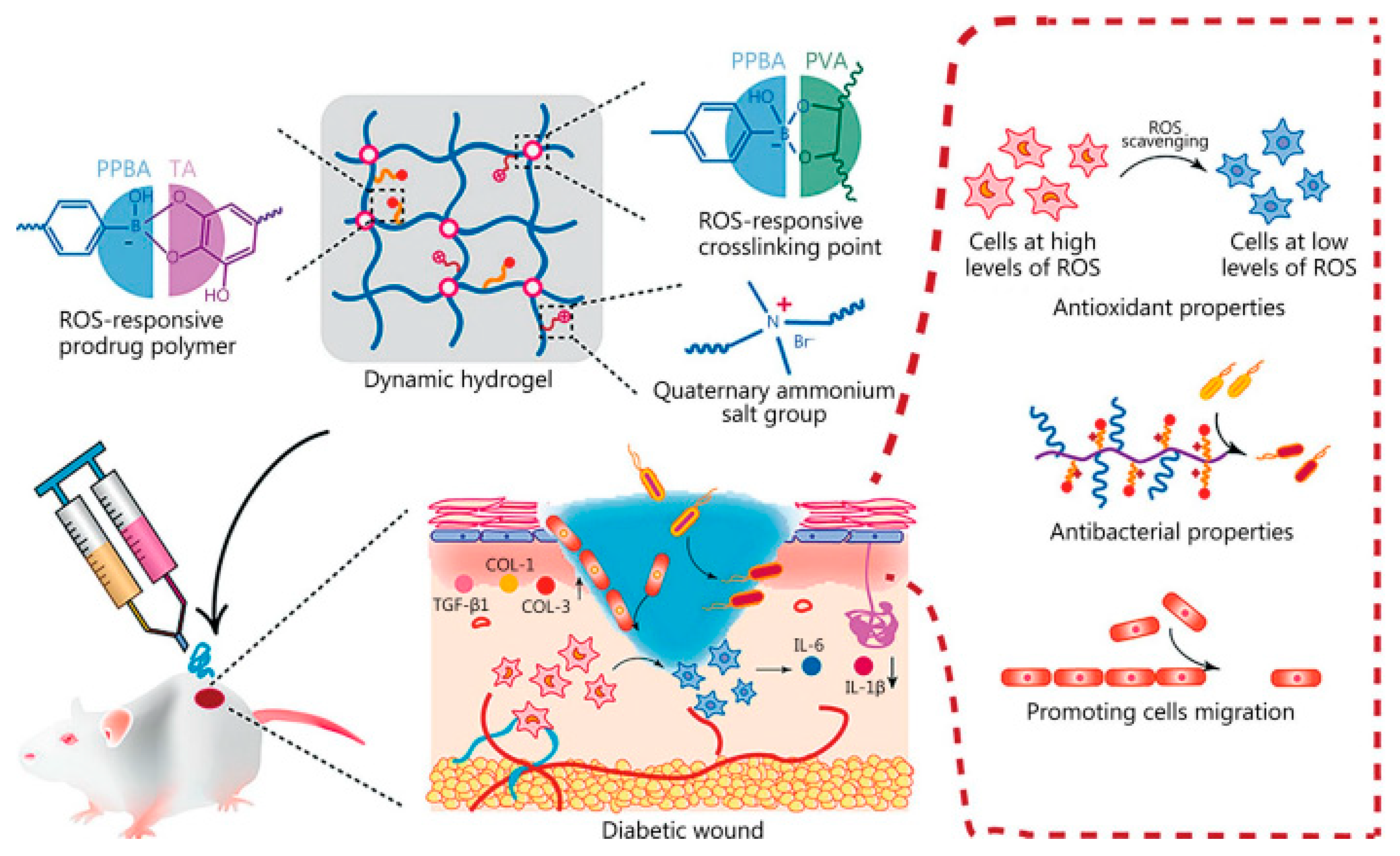 Molecules 30 00686 g007