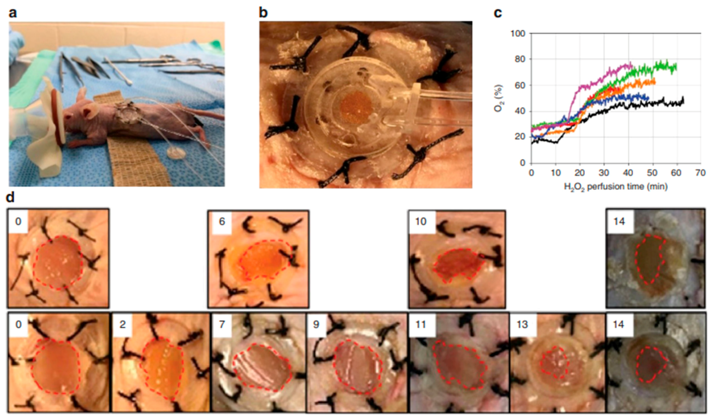 Molecules 30 00686 g012