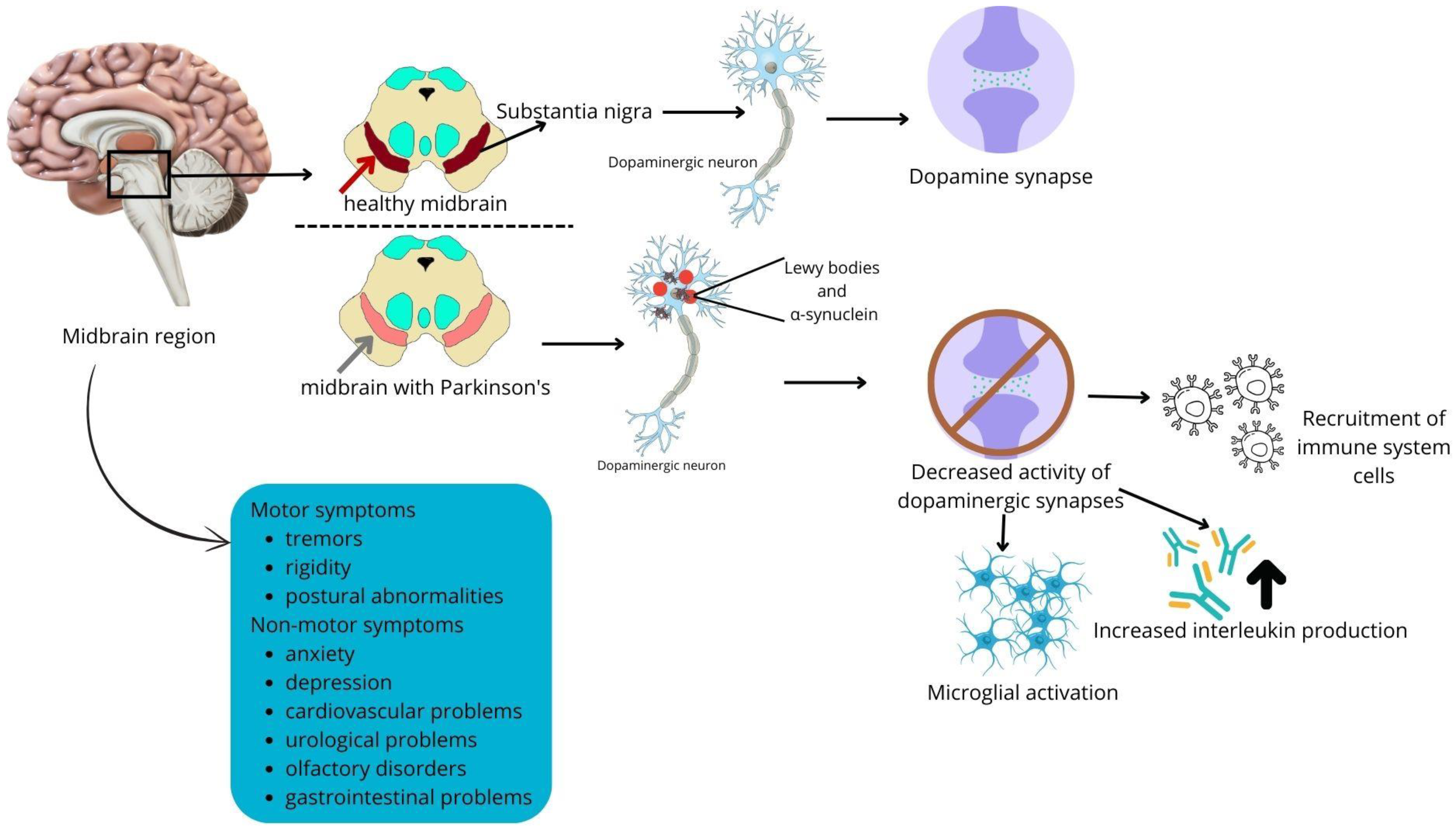 Molecules 30 00687 g002