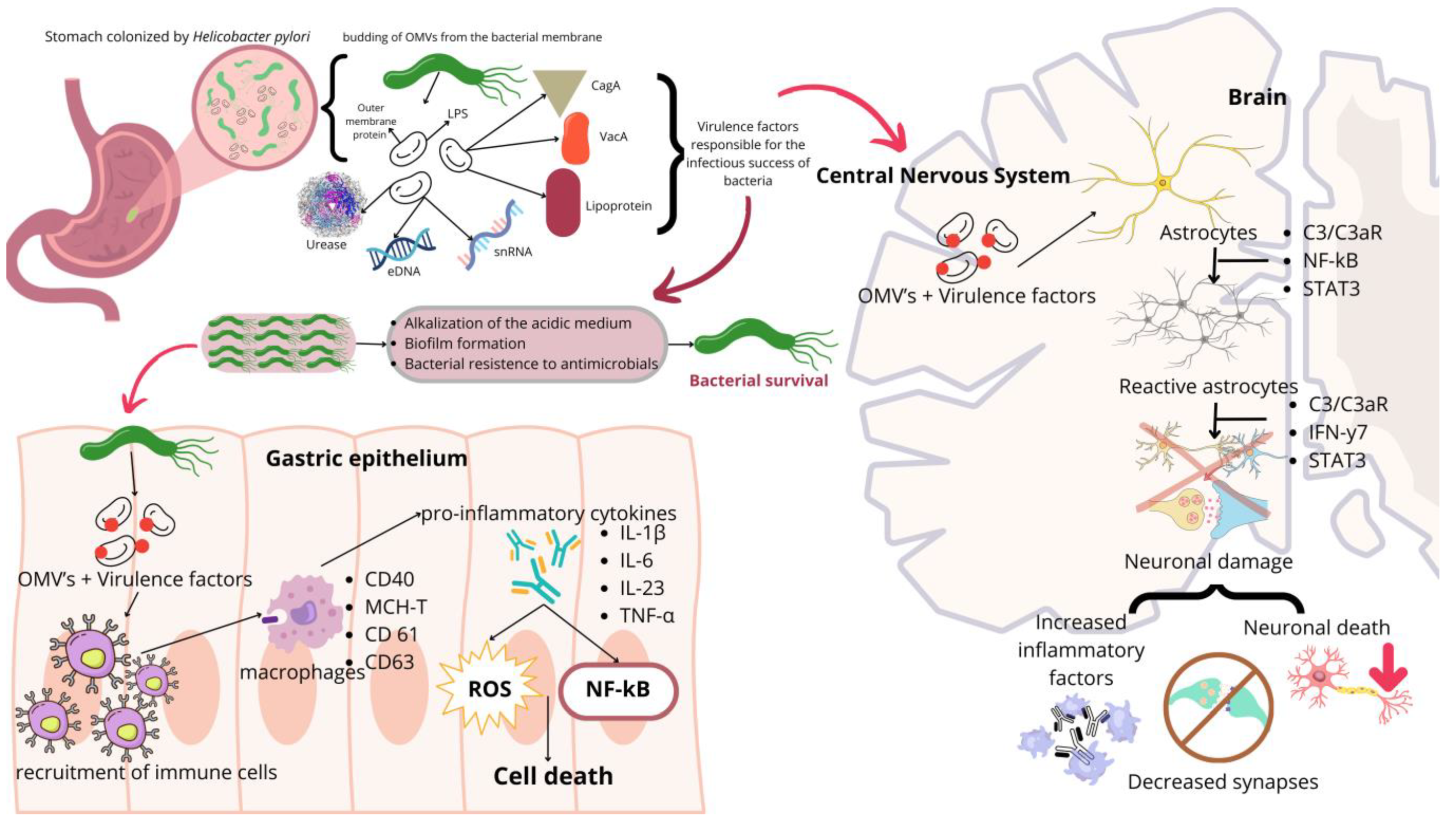Molecules 30 00687 g003