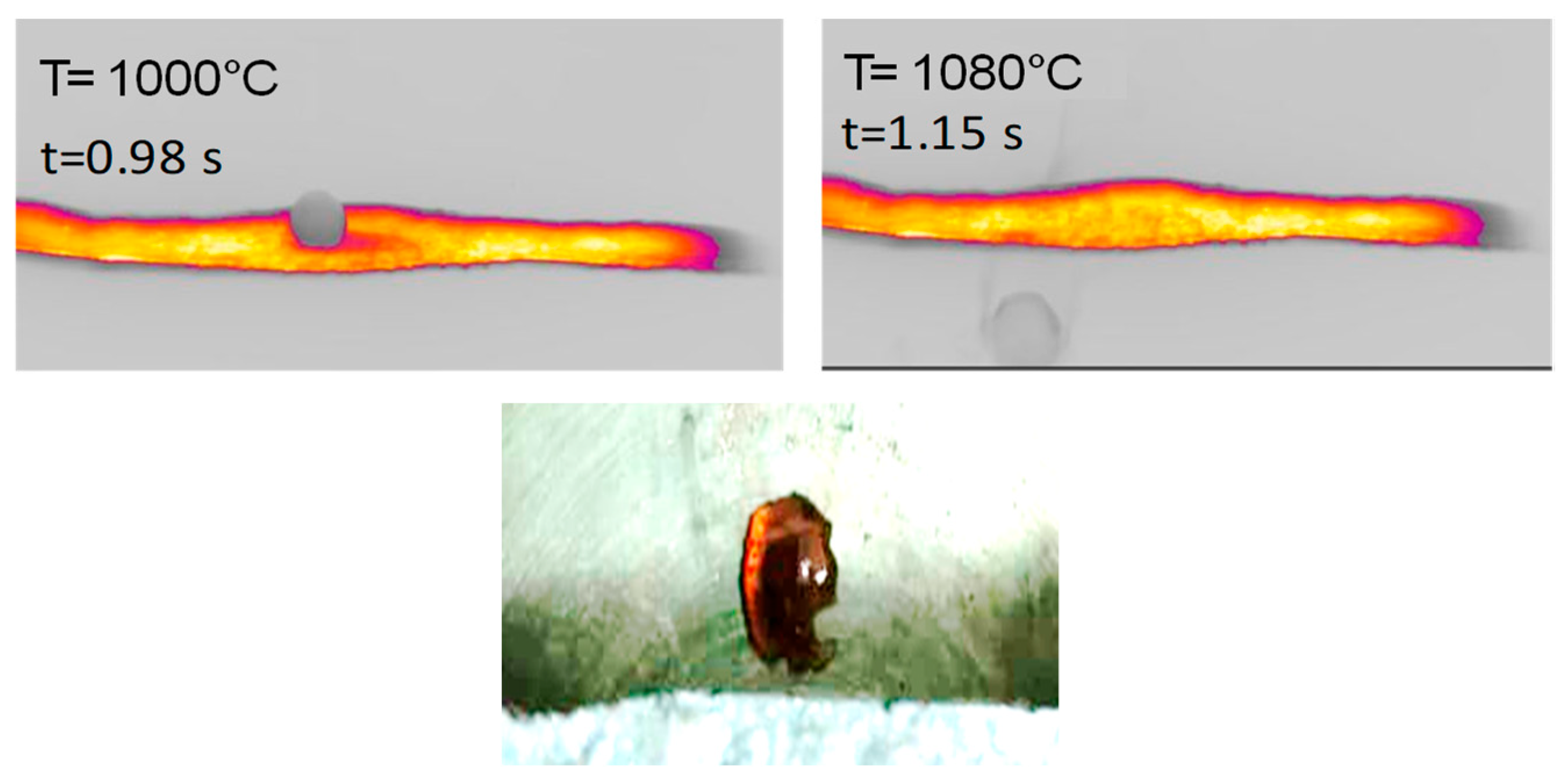 Molecules 30 00700 g005