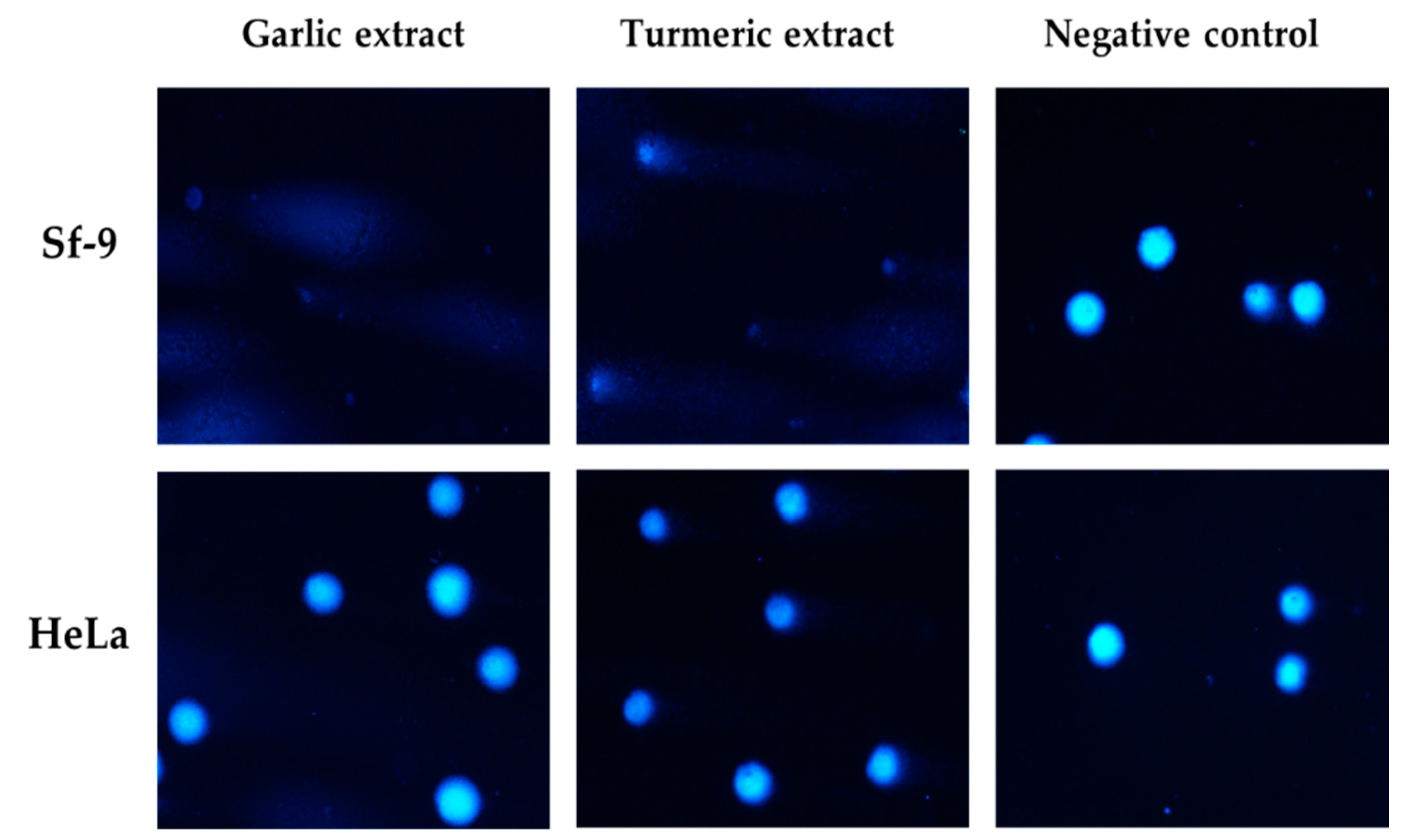 Molecules 30 00701 g003