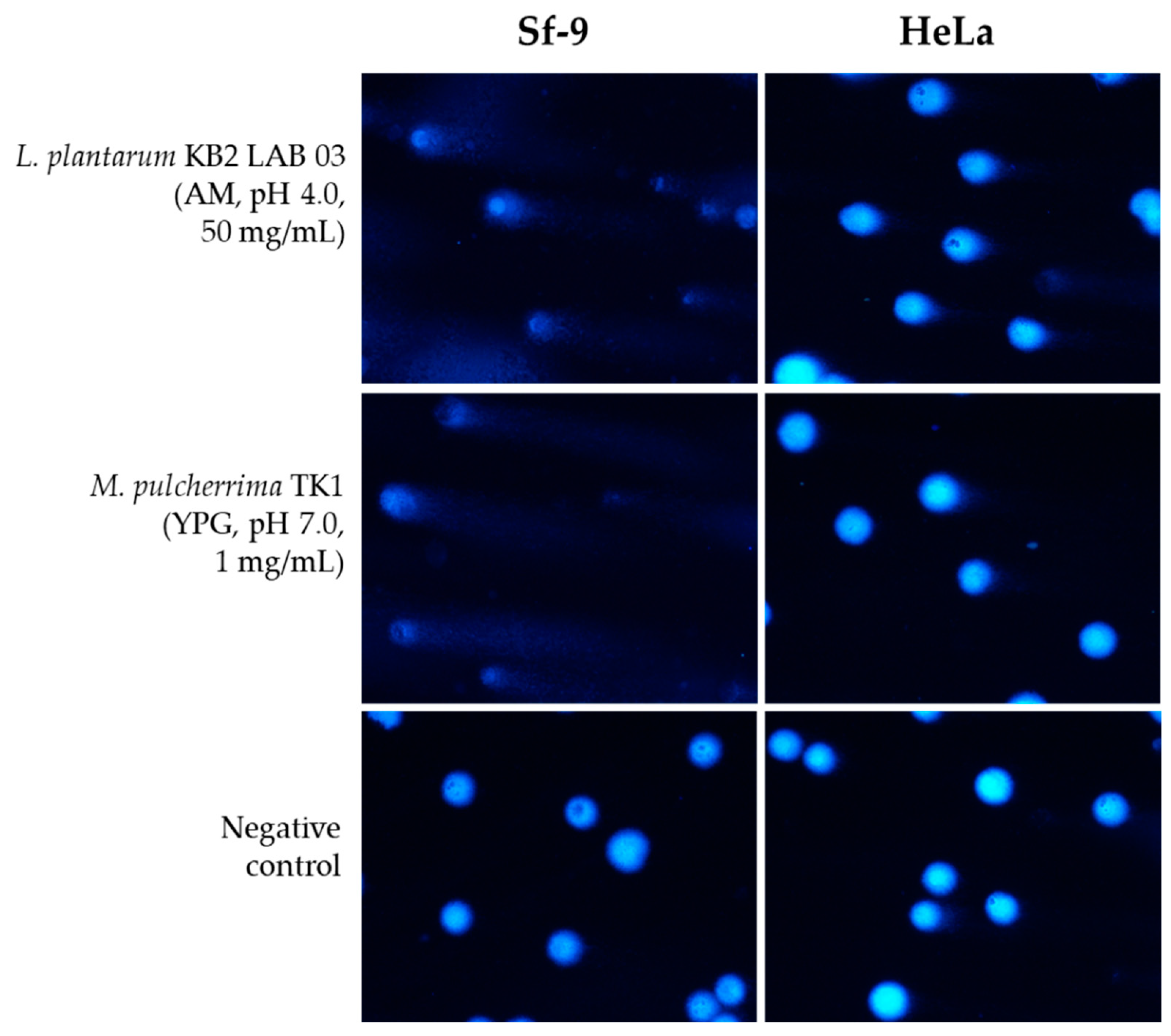 Molecules 30 00701 g004