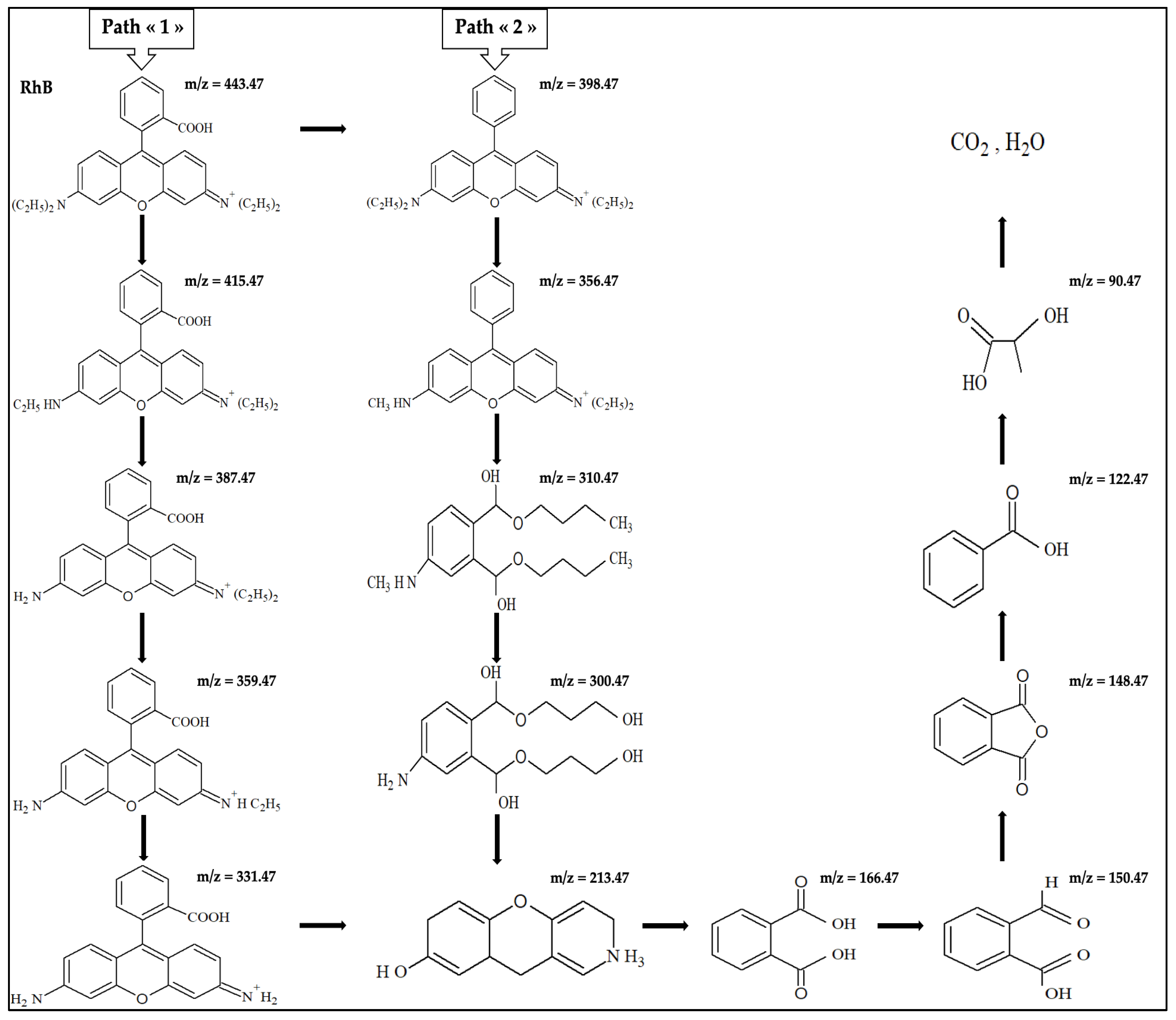 Molecules 30 00712 g008
