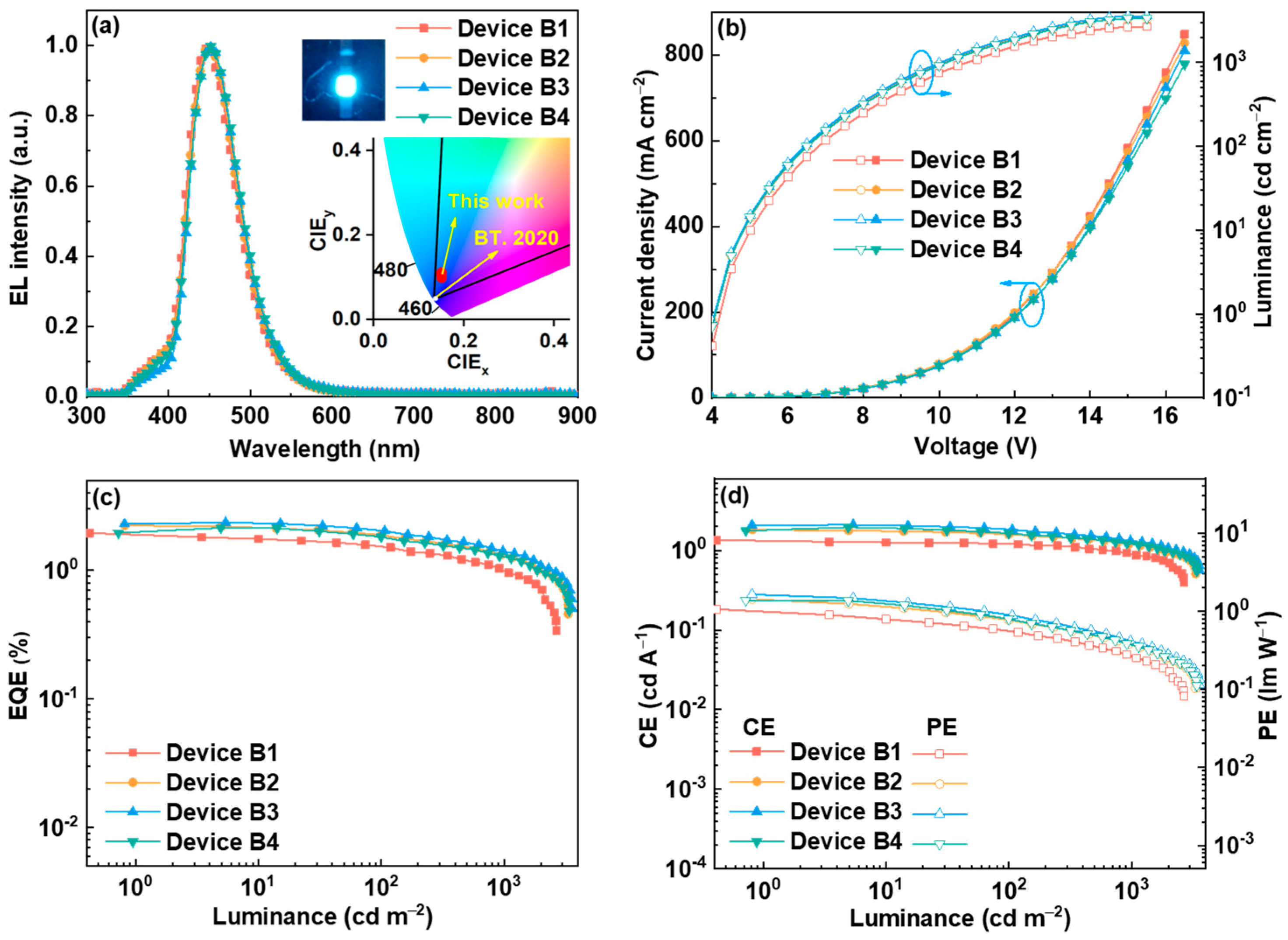 Molecules 30 00716 g008
