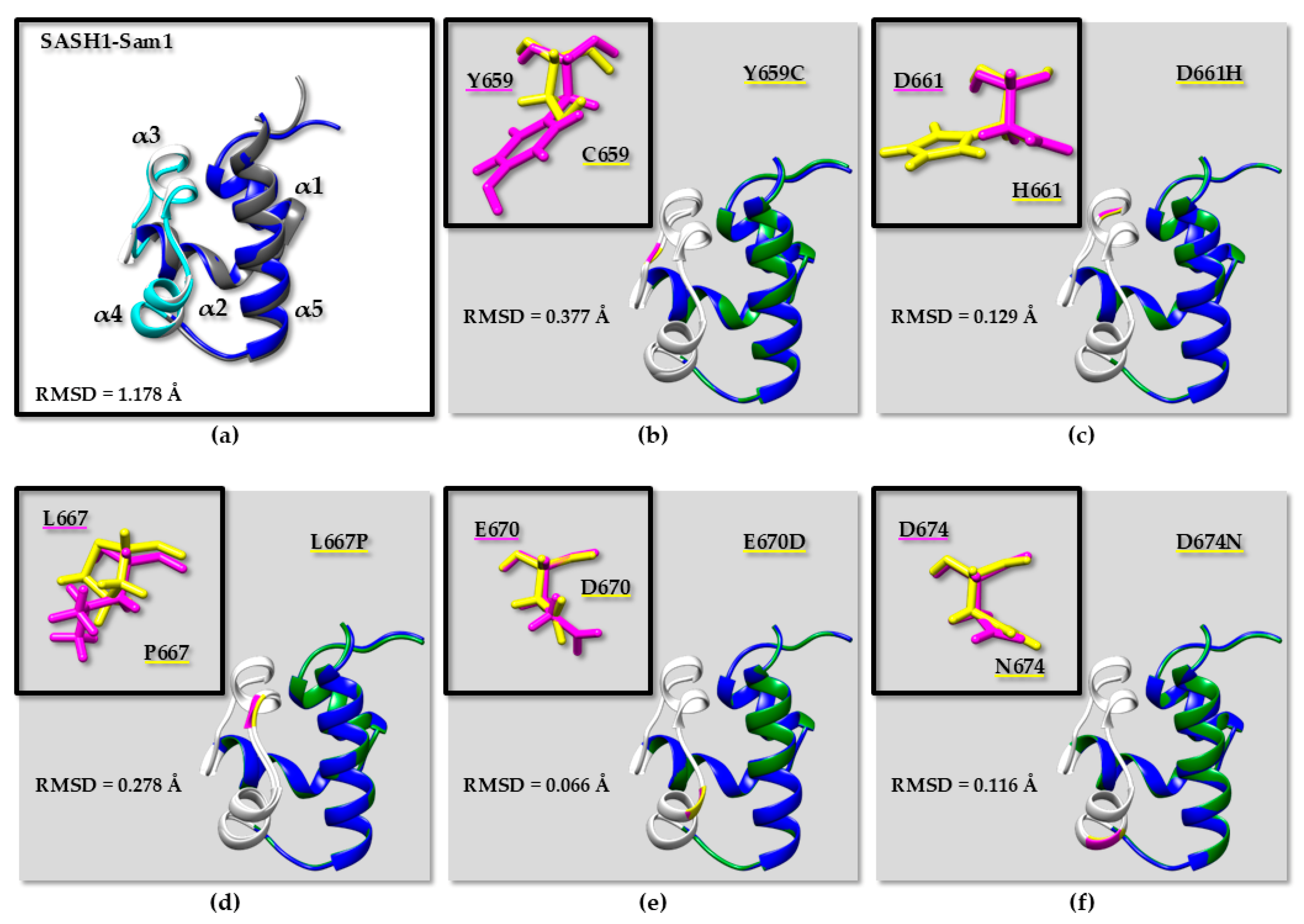 Molecules 30 00718 g005