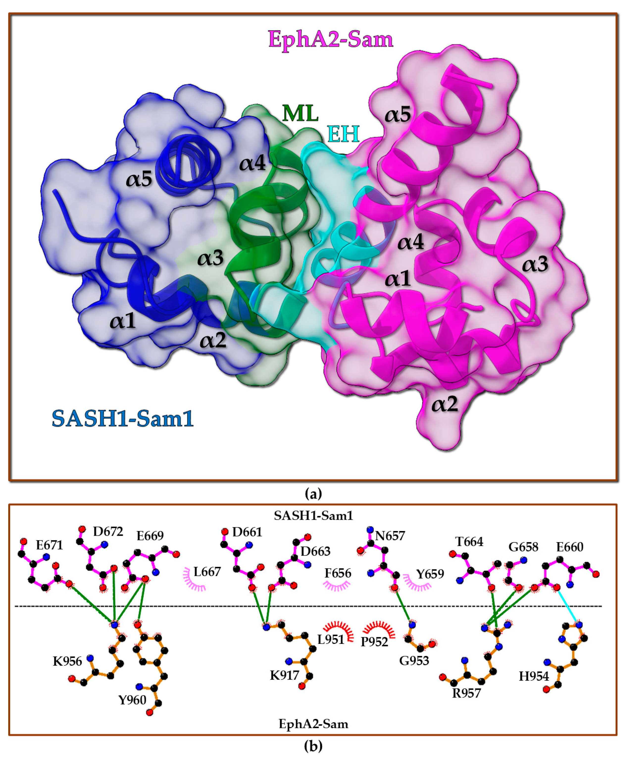 Molecules 30 00718 g007