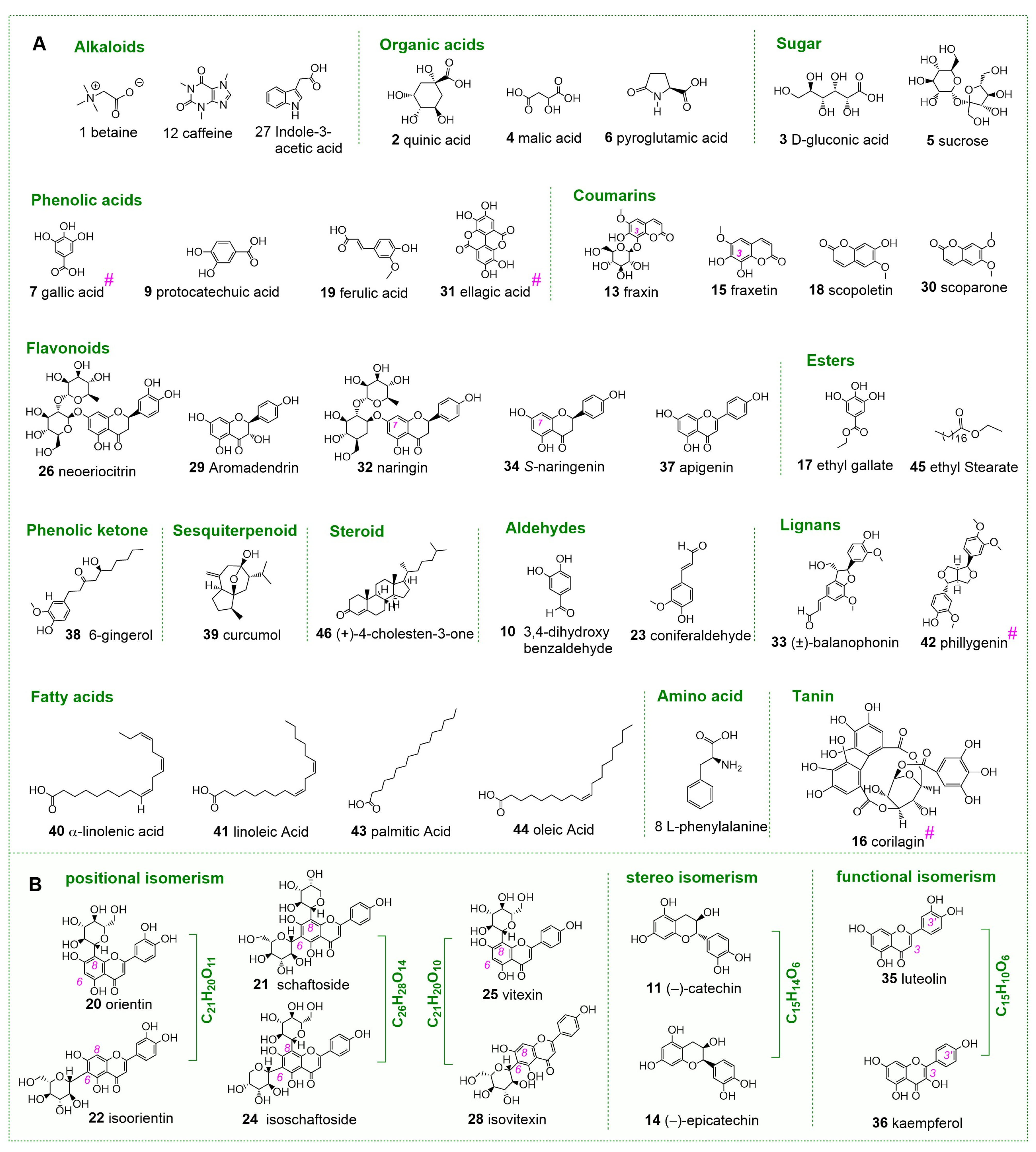 Molecules 30 00722 g004