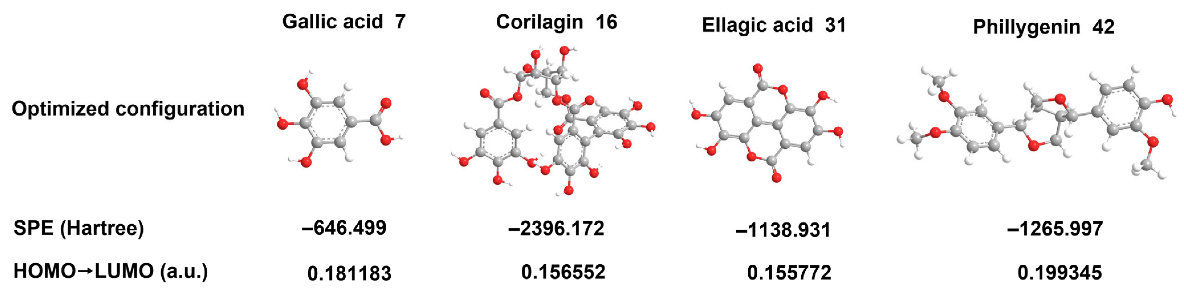 Molecules 30 00722 g006