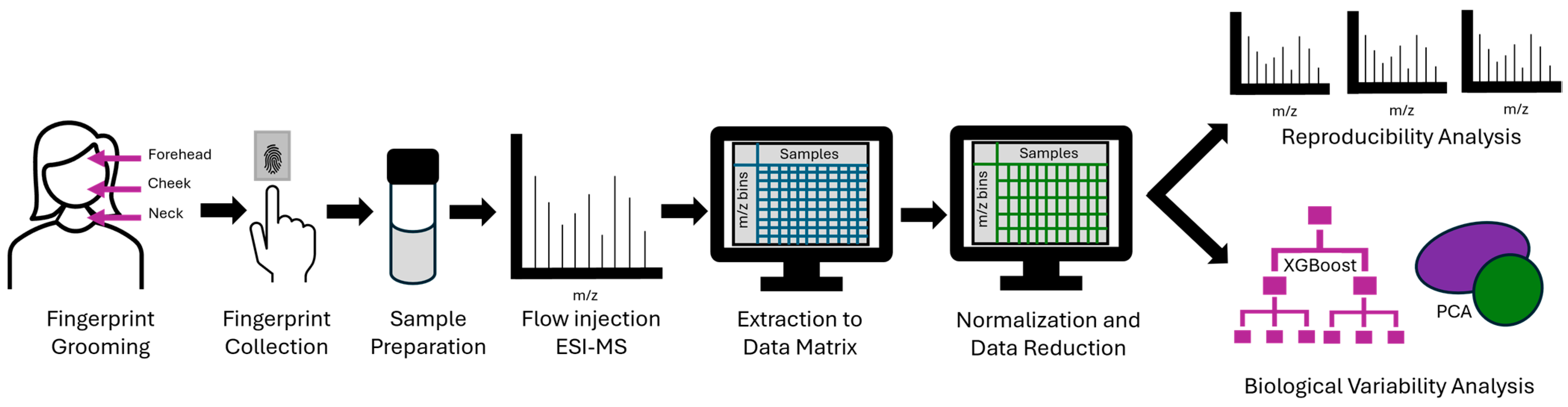 Molecules 30 00726 g001