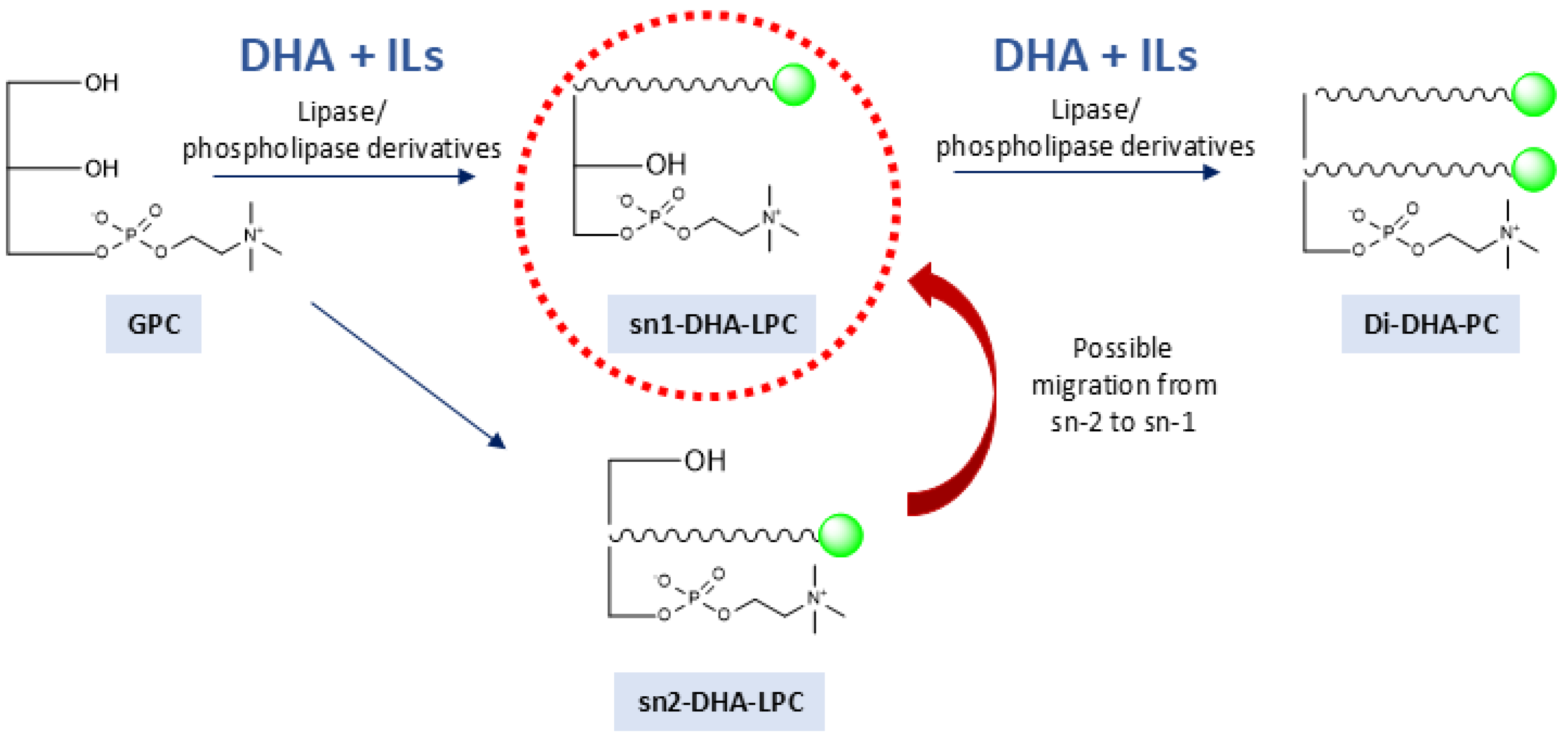 Molecules 30 00728 g001