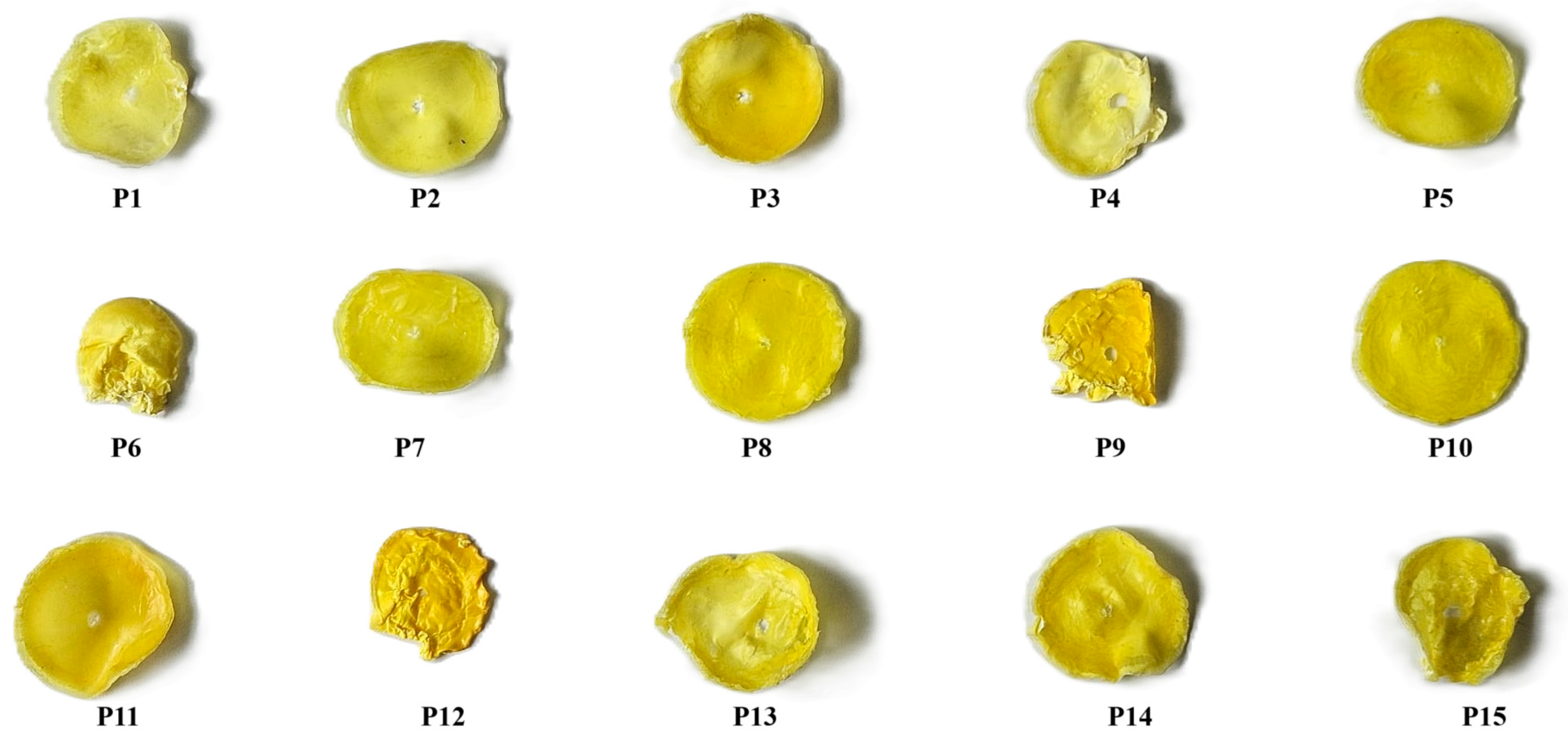 Molecules 30 00730 g005