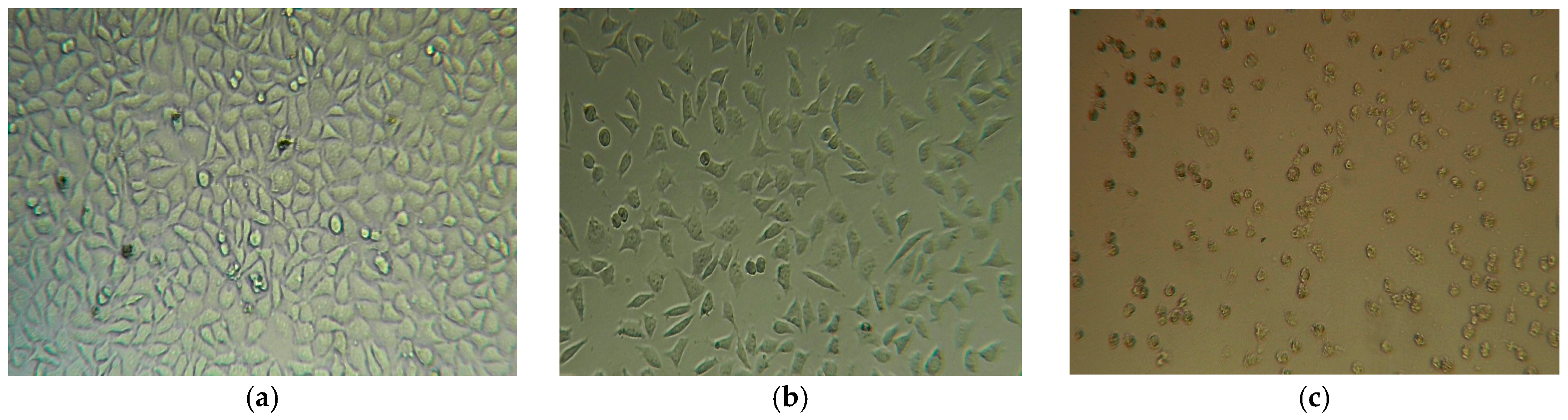 Molecules 30 00730 g008