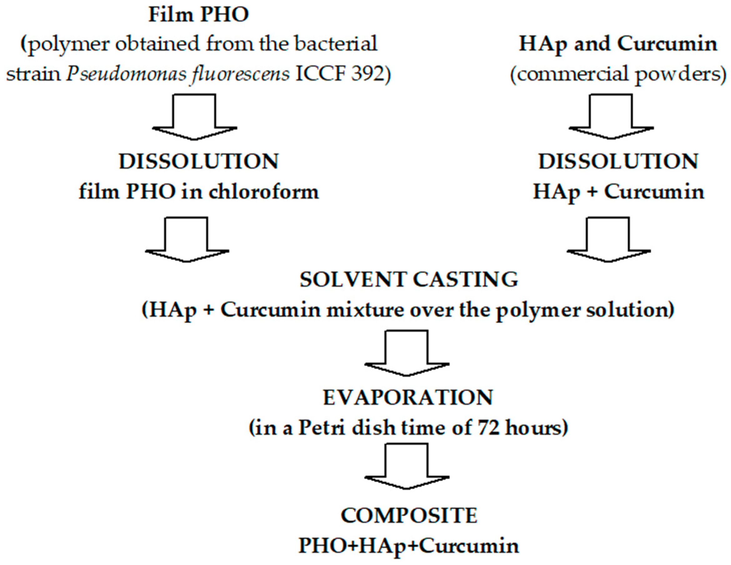 Molecules 30 00730 g009