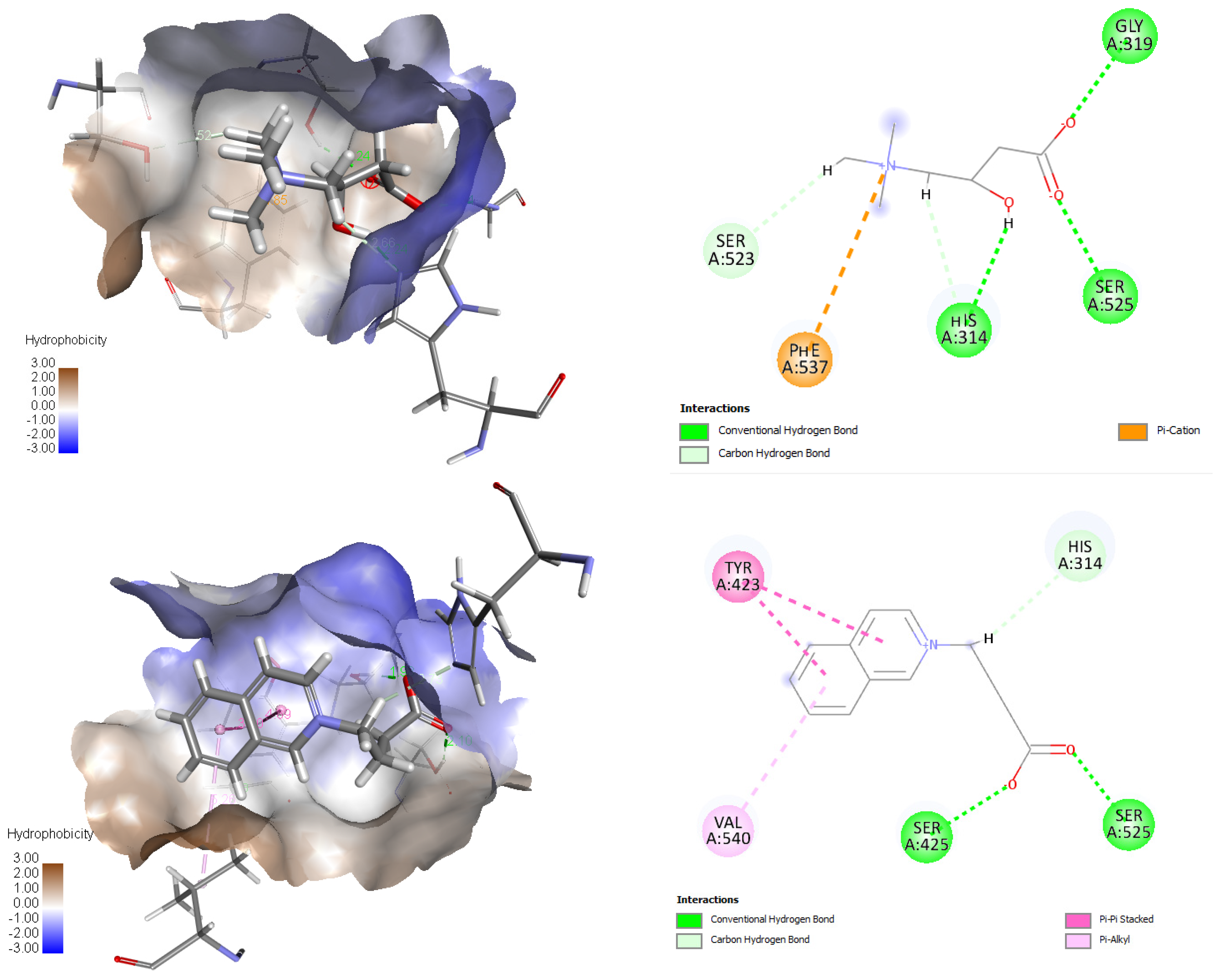 Molecules 30 00735 g003