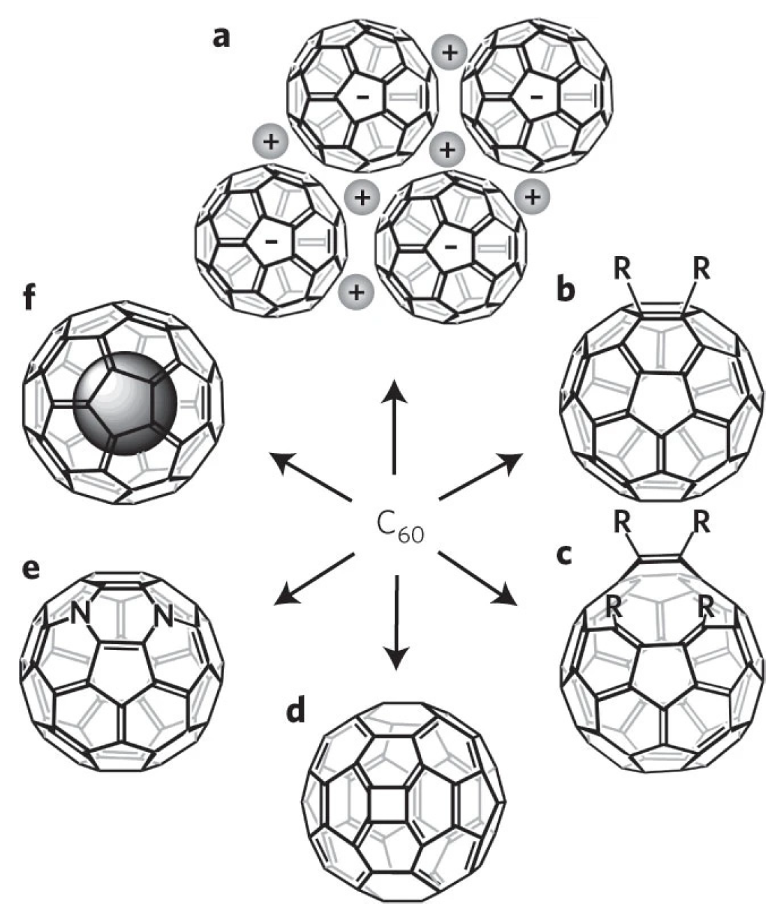 Molecules 30 00738 g001