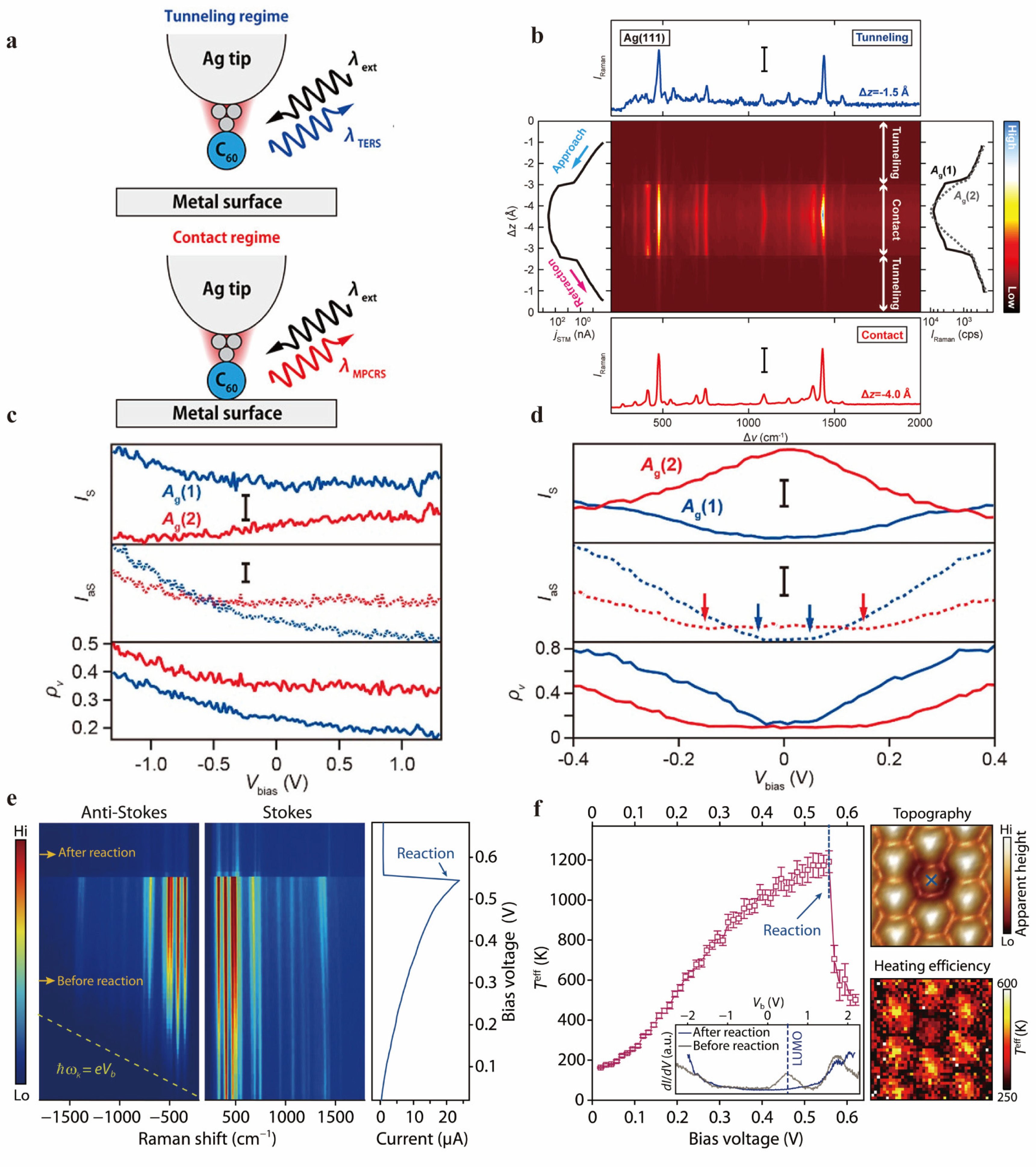 Molecules 30 00738 g015