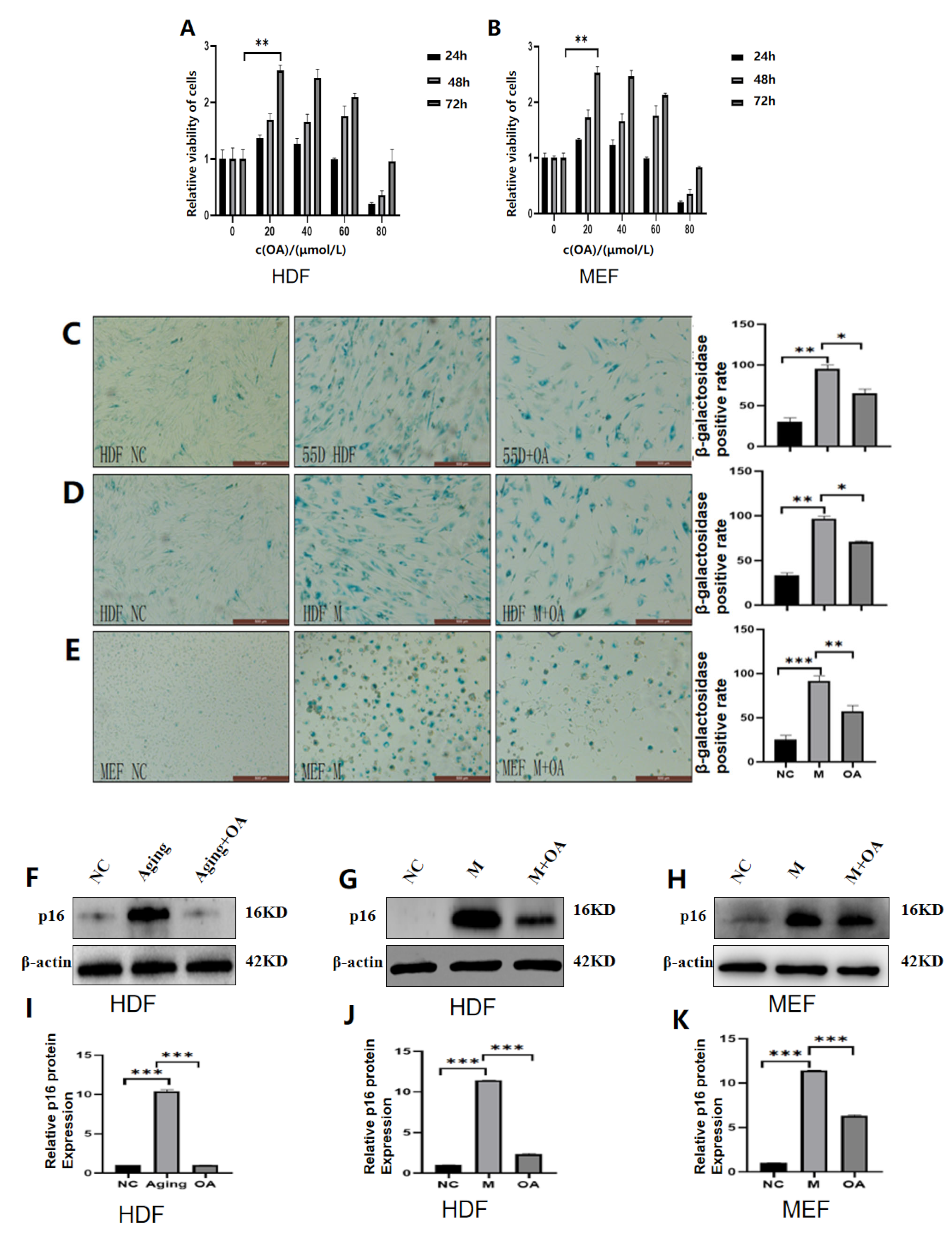 Molecules 30 00740 g002a