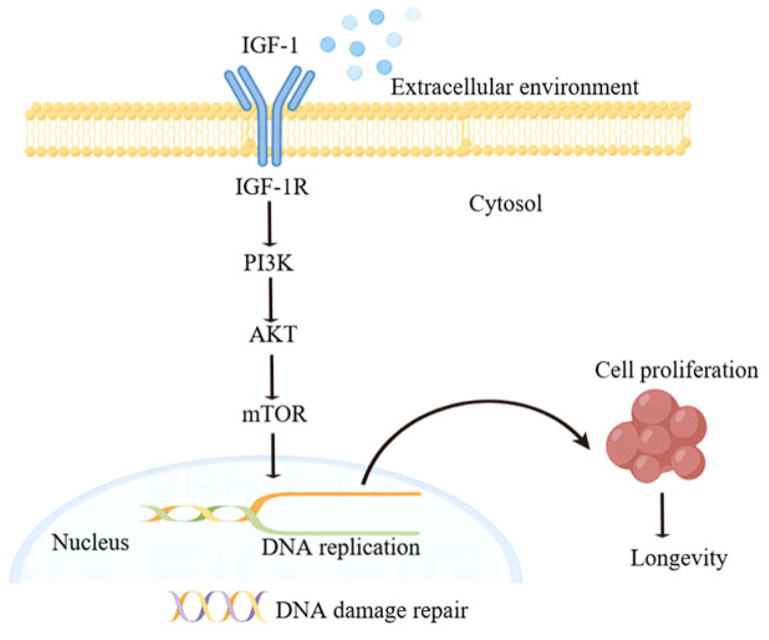 Molecules 30 00740 g008