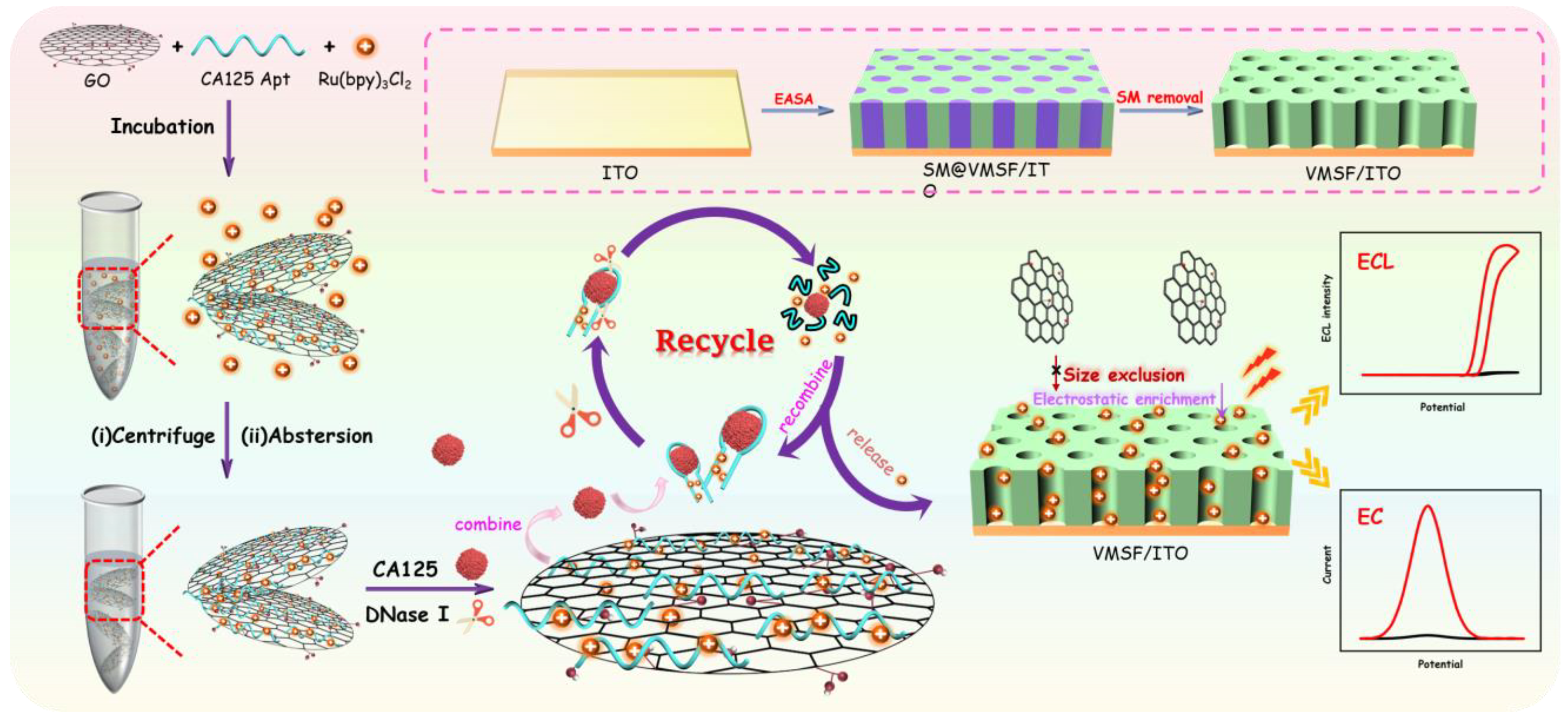 Molecules 30 00746 g001