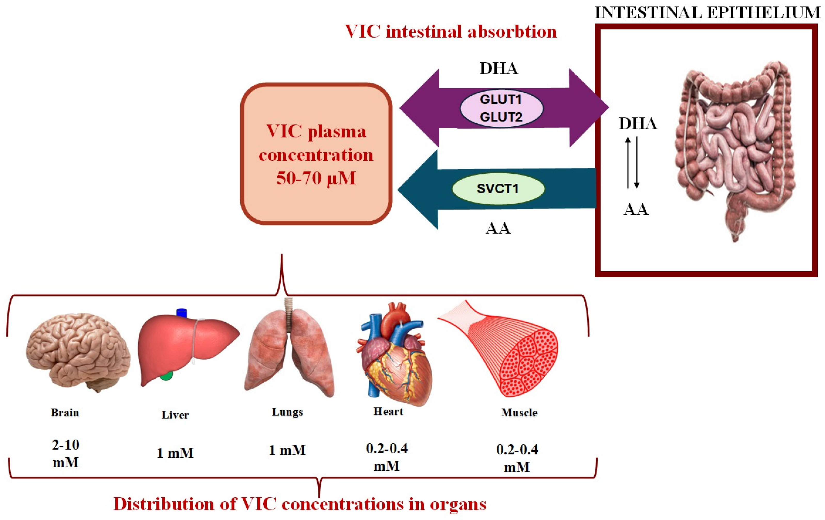 Molecules 30 00748 g002