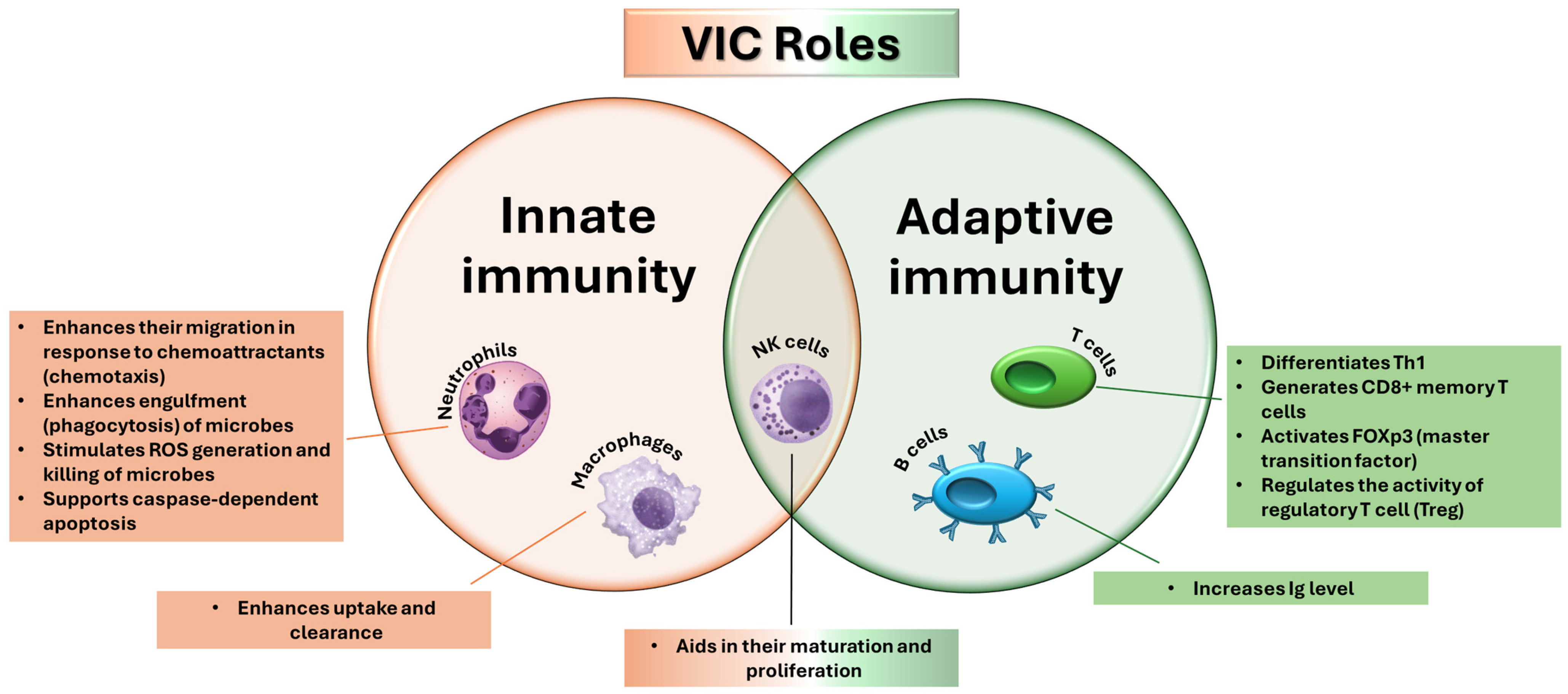 Molecules 30 00748 g003