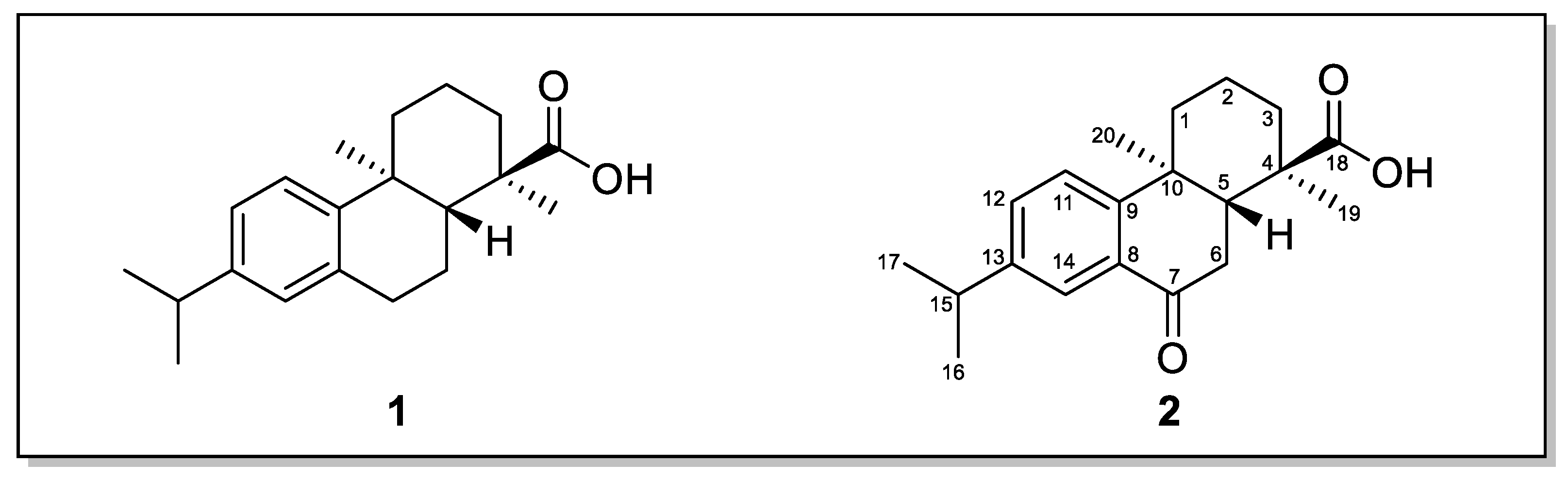Molecules 30 00750 g001