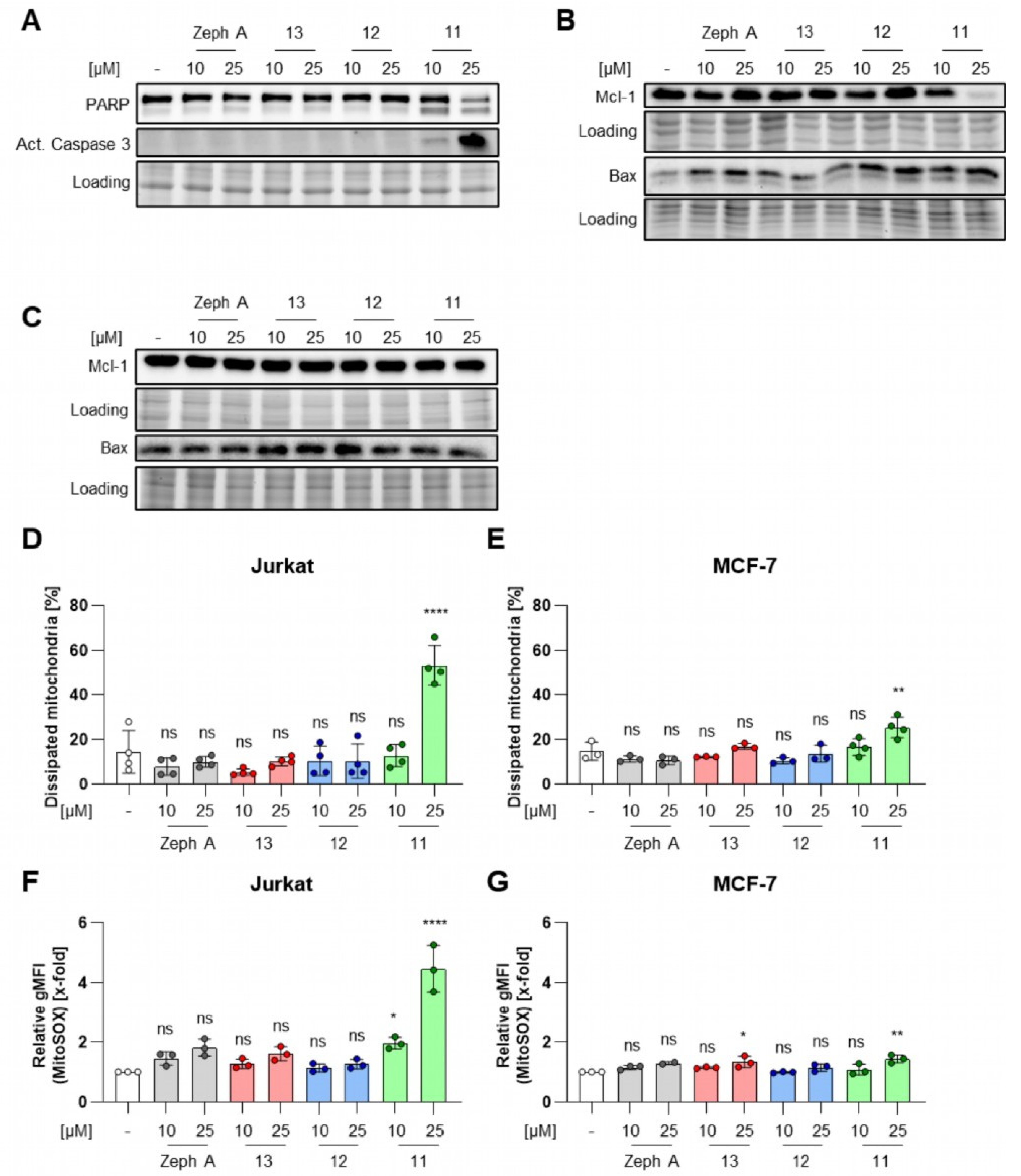 Molecules 30 00752 g003