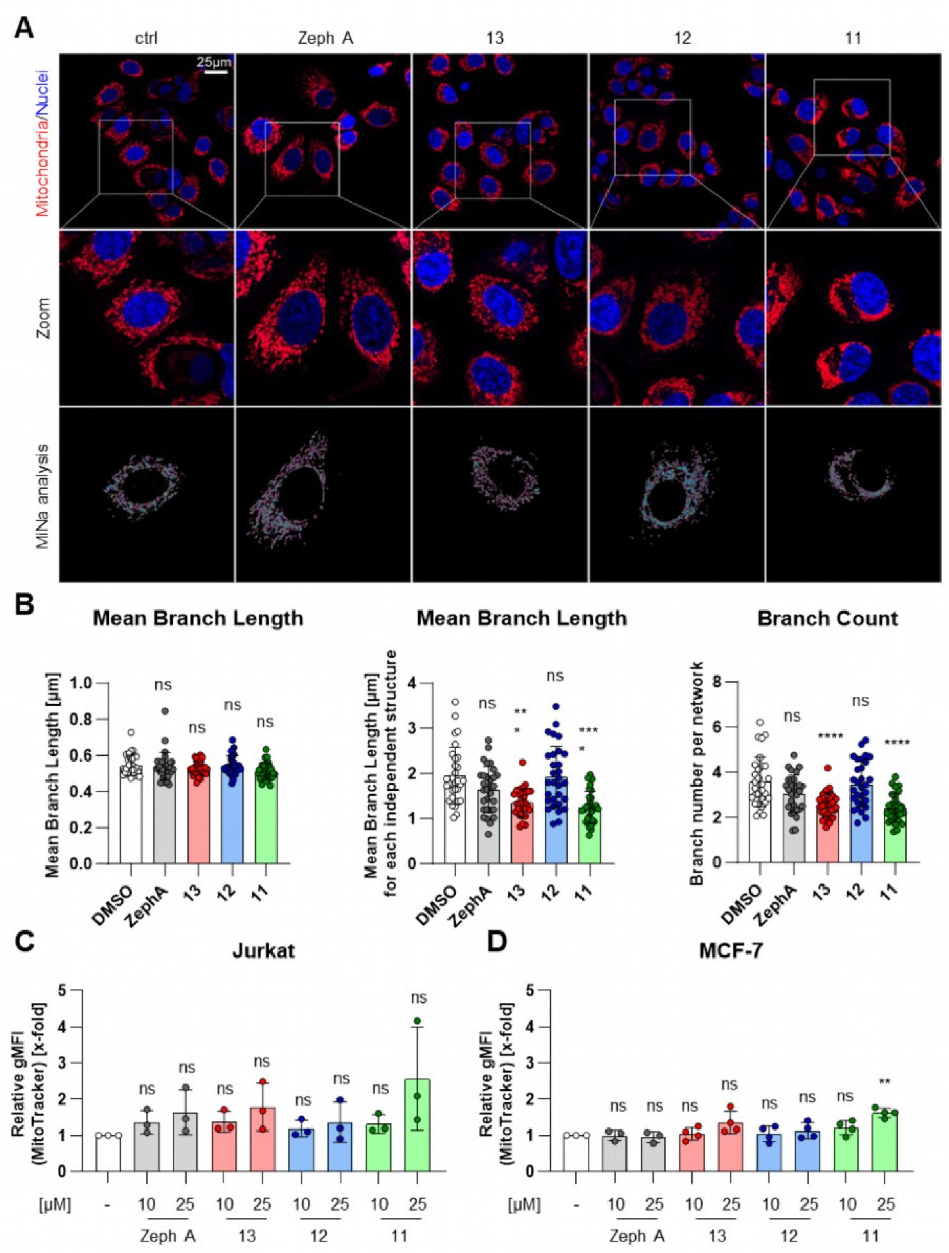 Molecules 30 00752 g004