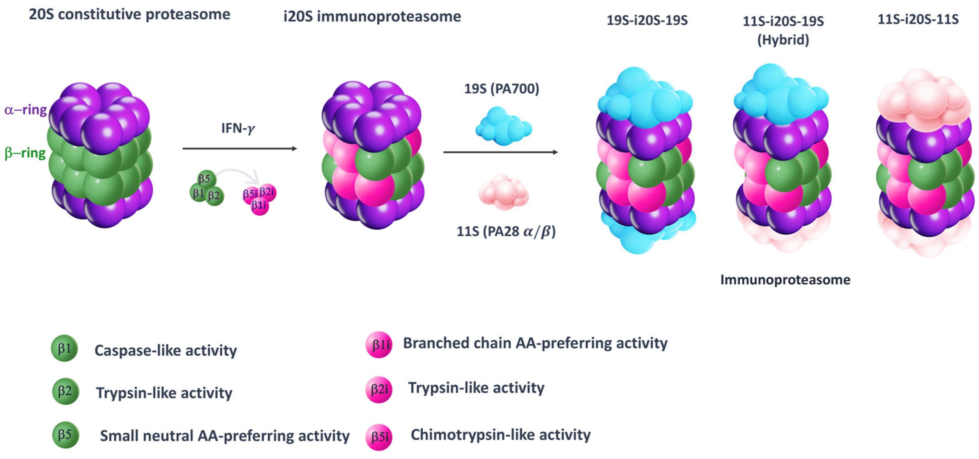Molecules 30 00755 g001
