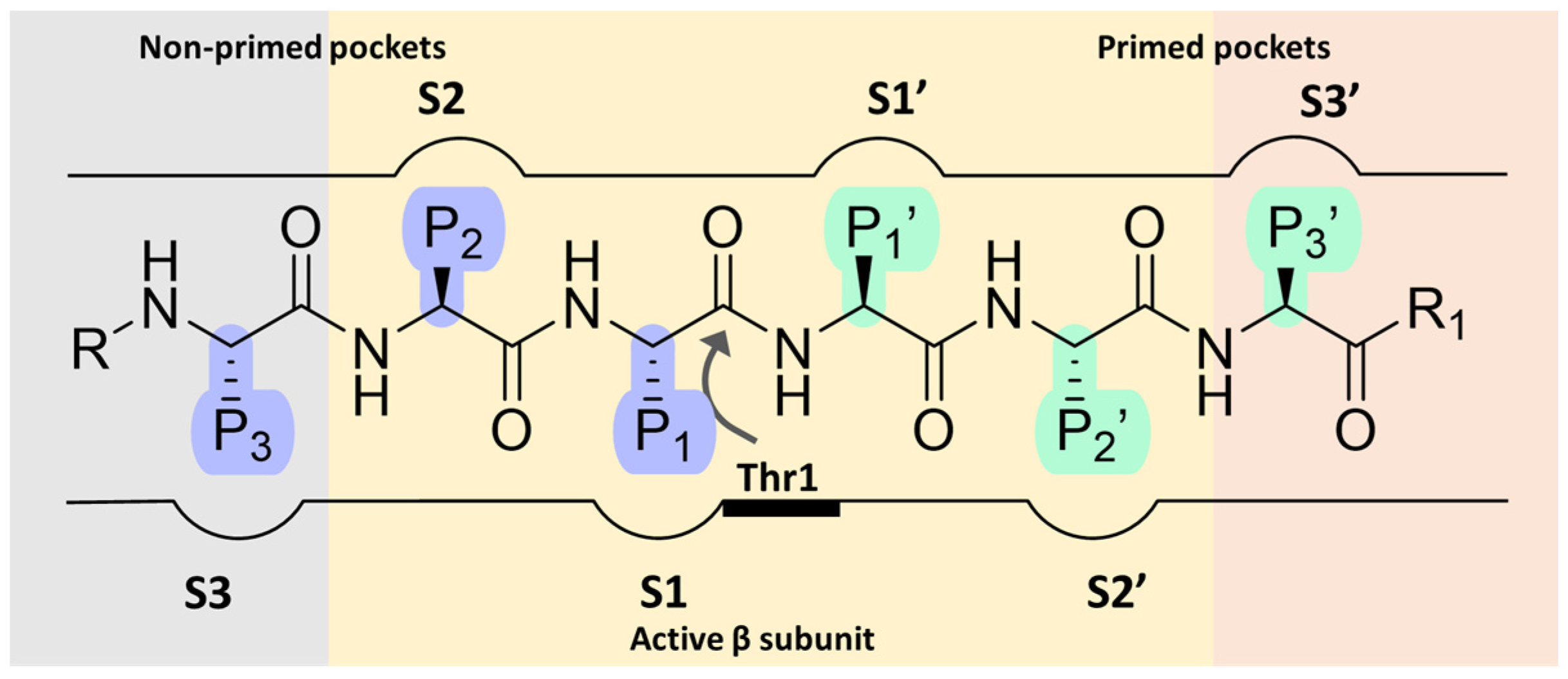 Molecules 30 00755 g002