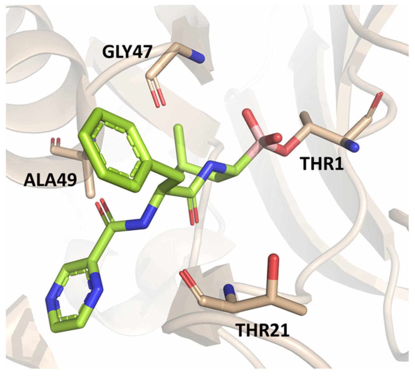 Molecules 30 00755 g004