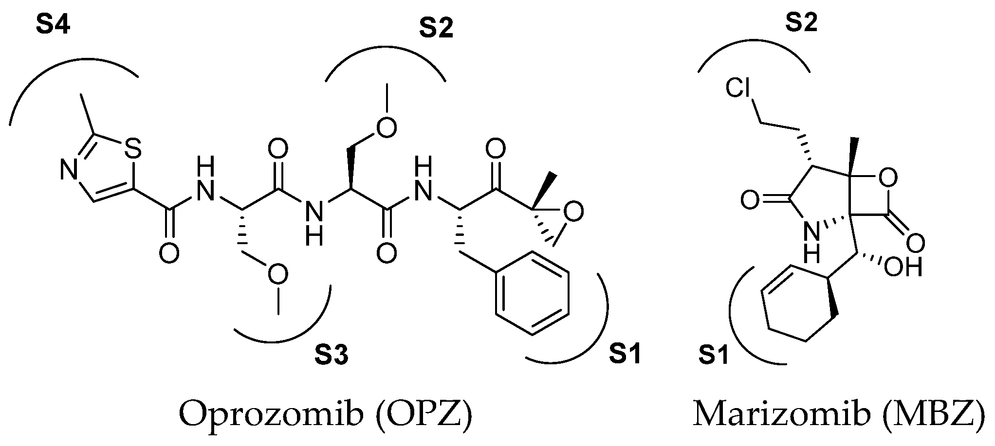 Molecules 30 00755 g005