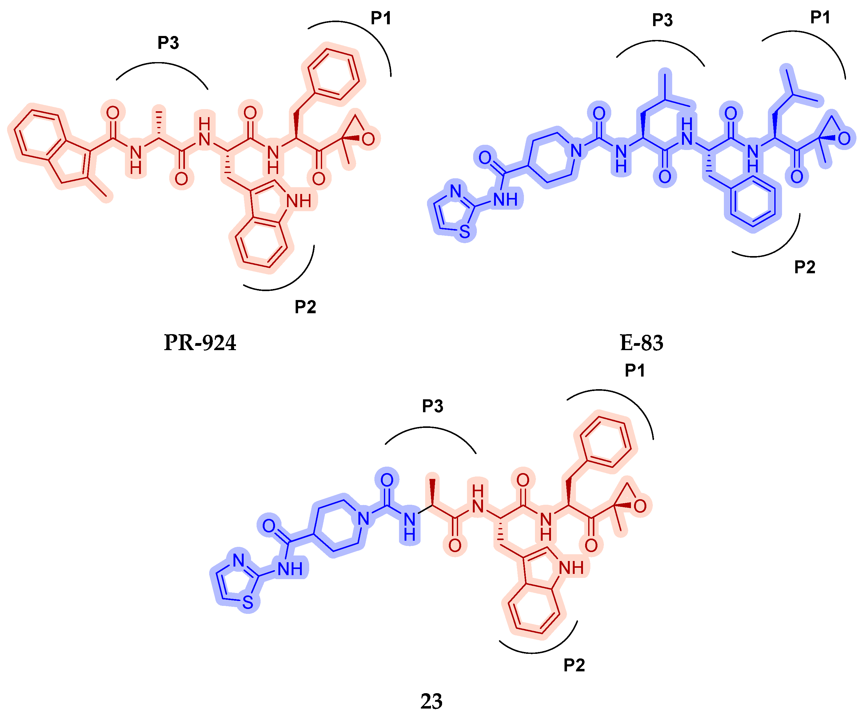 Molecules 30 00755 g011