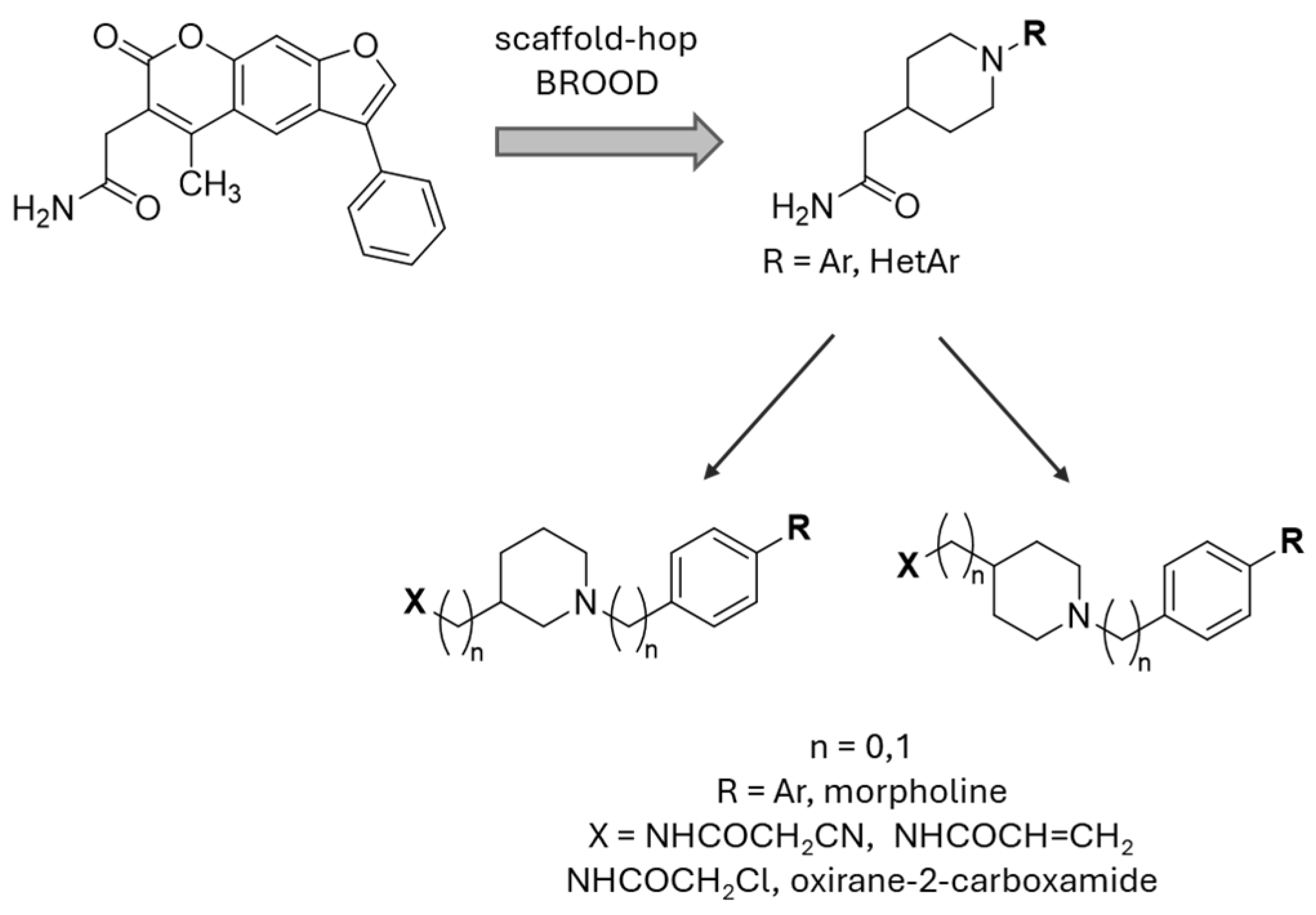 Molecules 30 00755 g016