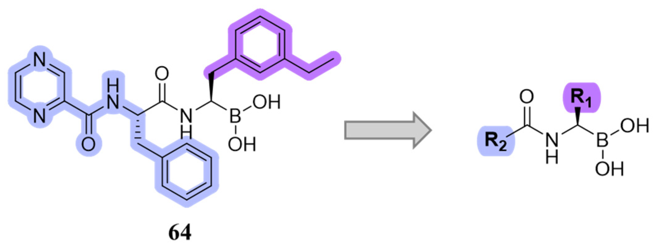 Molecules 30 00755 g021